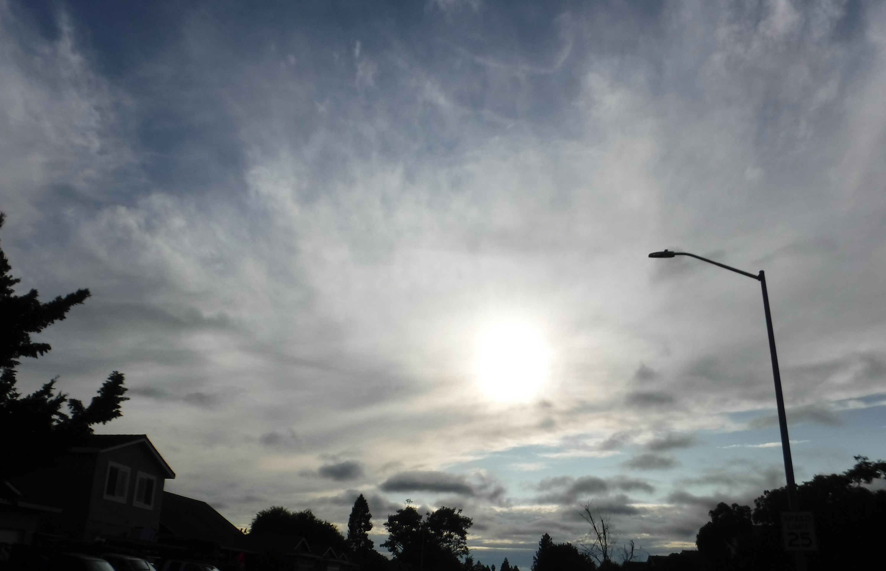 Photo taken by me 8-9-19