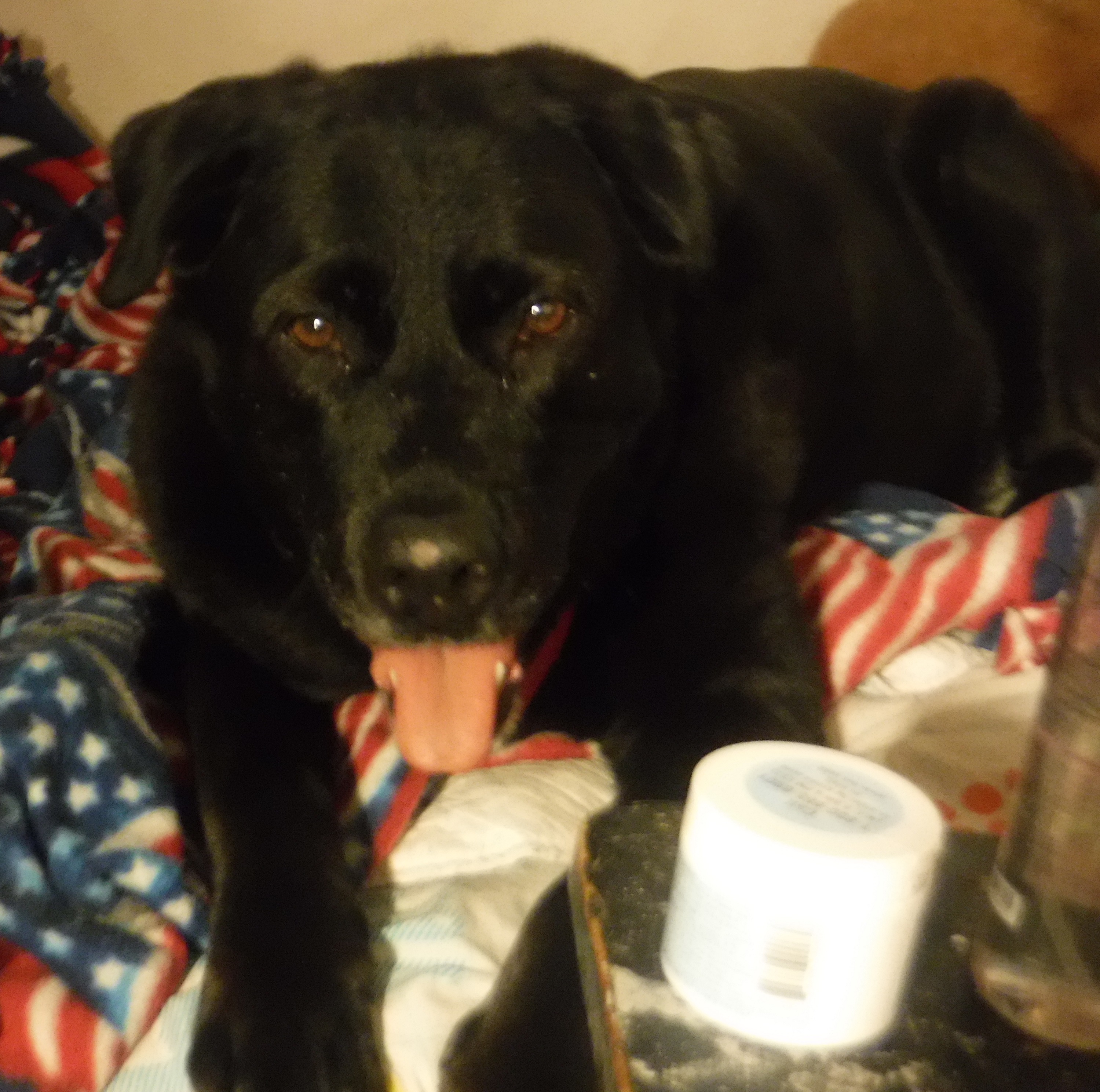 Photo I took of Angel 8-13-19 Photo I took of Angel 8-13-19