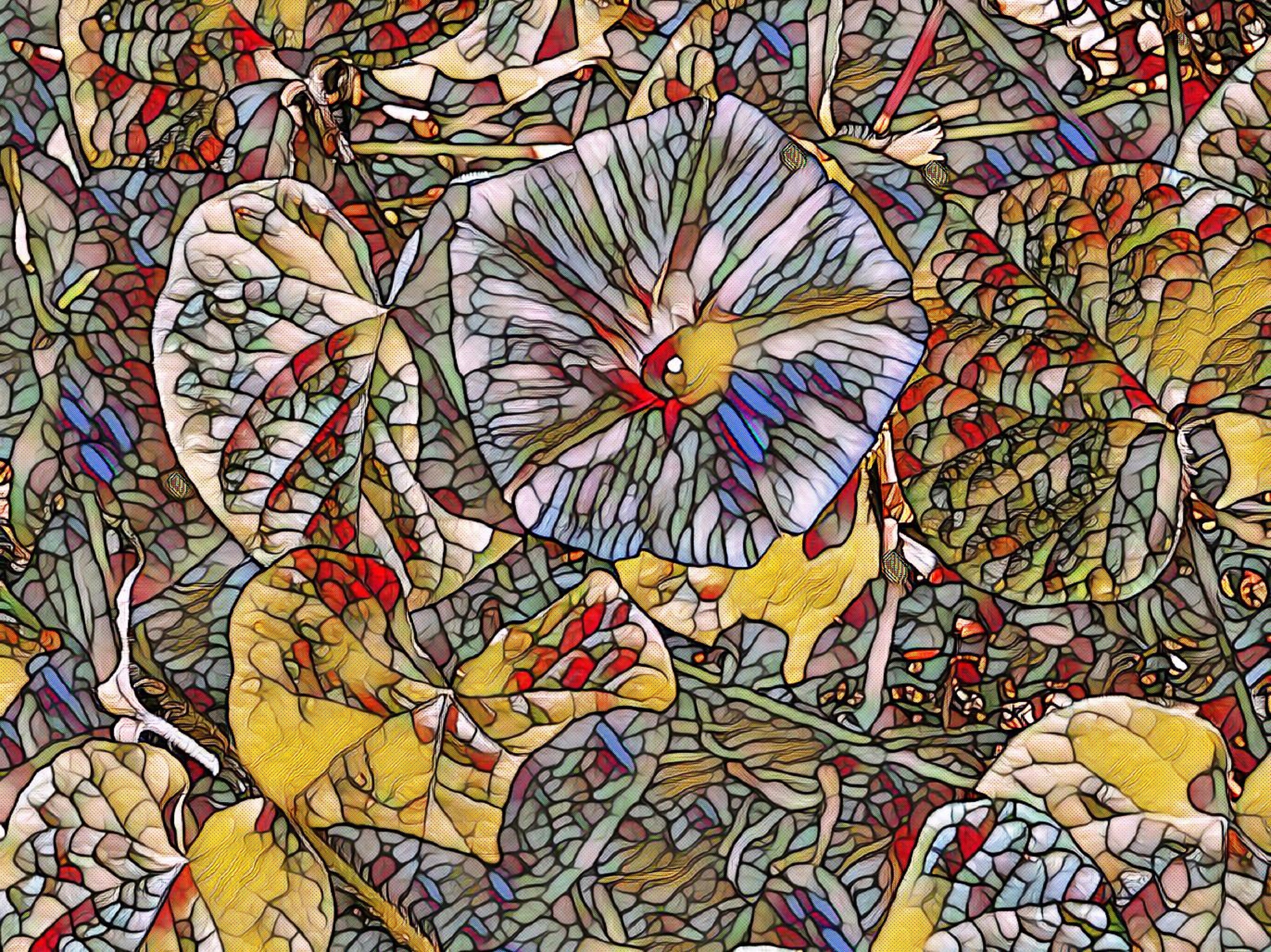 Photo taken by me with Stained Glass Effect on LunaPic.com Photo taken by me with Stained Glass Effect on LunaPic.com