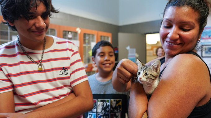 A loving family adopts a kitten on Clear The Shelters A loving family adopts a kitten on Clear The Shelters
