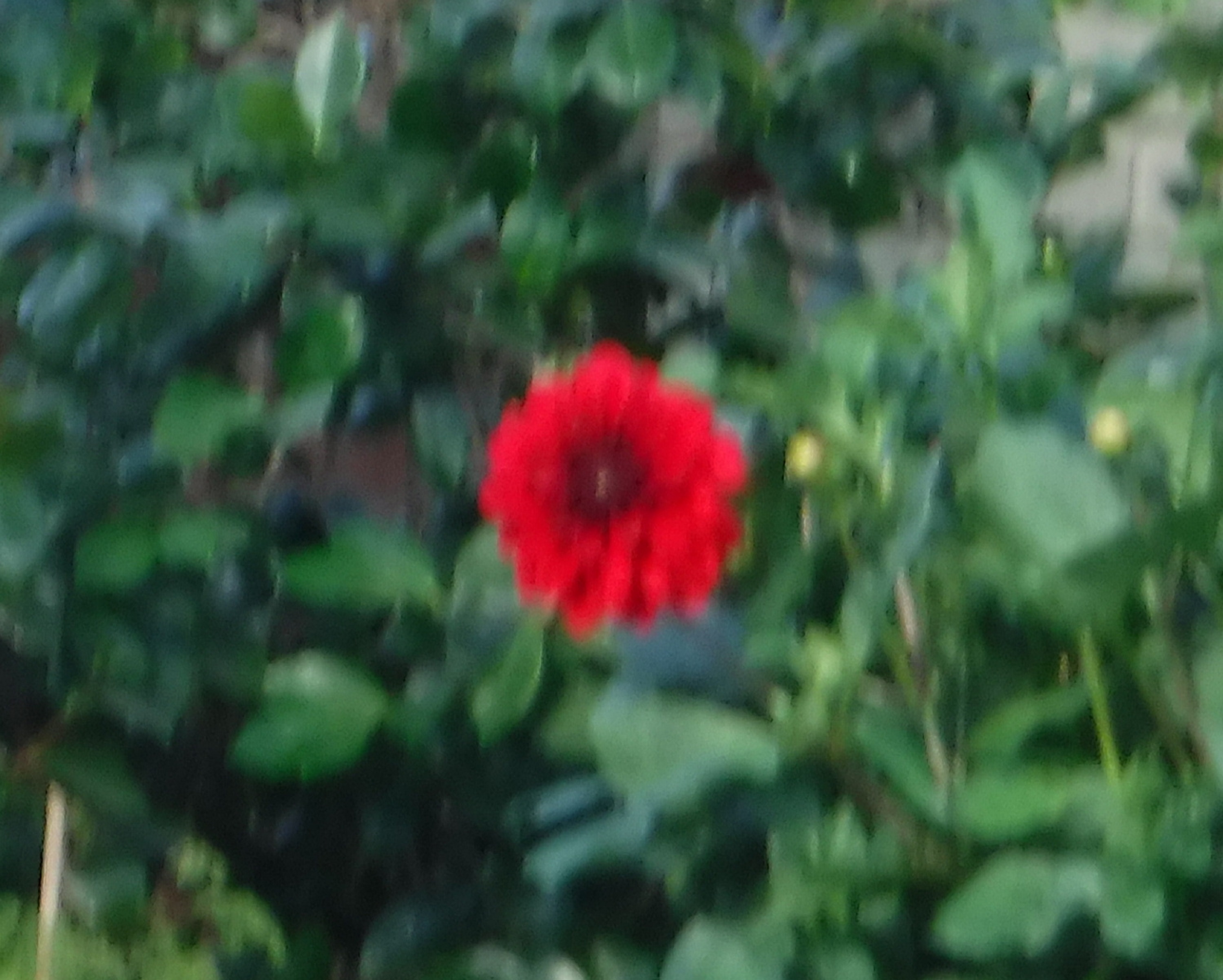 Photo taken by me 9-9-19 Photo taken by me 9-9-19