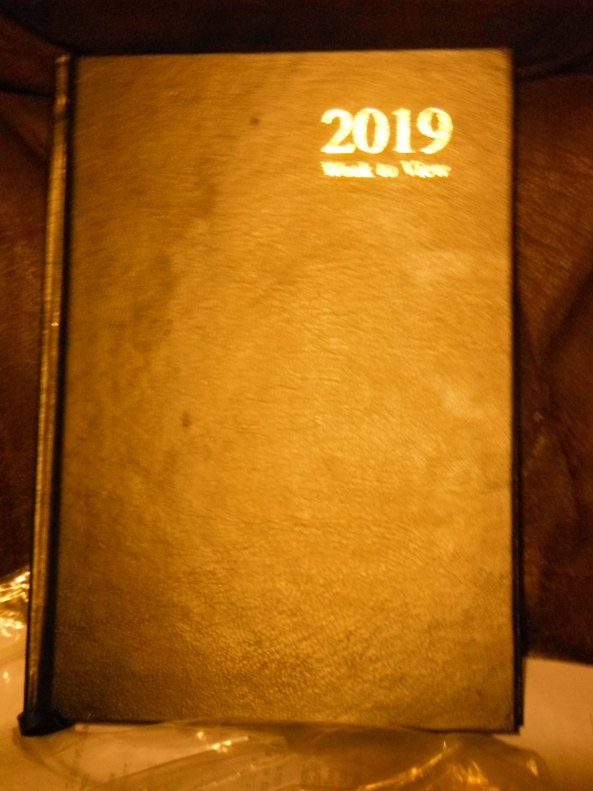 photo taken by me - my 2019 diary photo taken by me - my 2019 diary