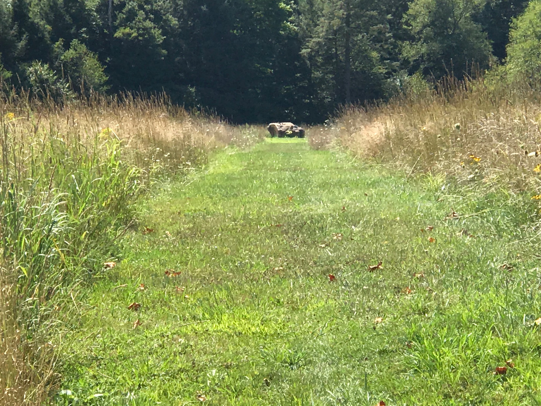 The point of impact of Flight 93, accessible only to relatives, at the Flight 93 National Memorial. Photo taken by and the property of FourWalls. The point of impact of Flight 93, accessible only to relatives, at the Flight 93 National Memorial. Photo taken by and the property of FourWalls.