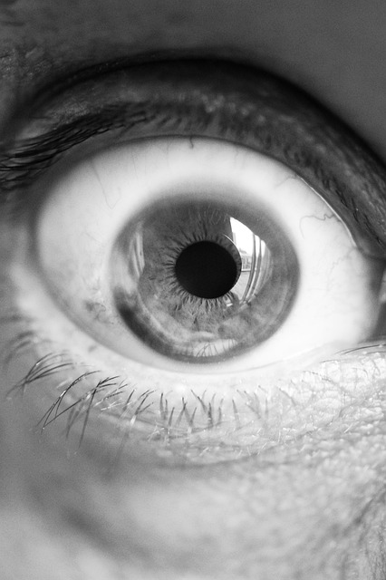 https://pixabay.com/photos/close-up-eye-eyeball-see-sight-1836722/