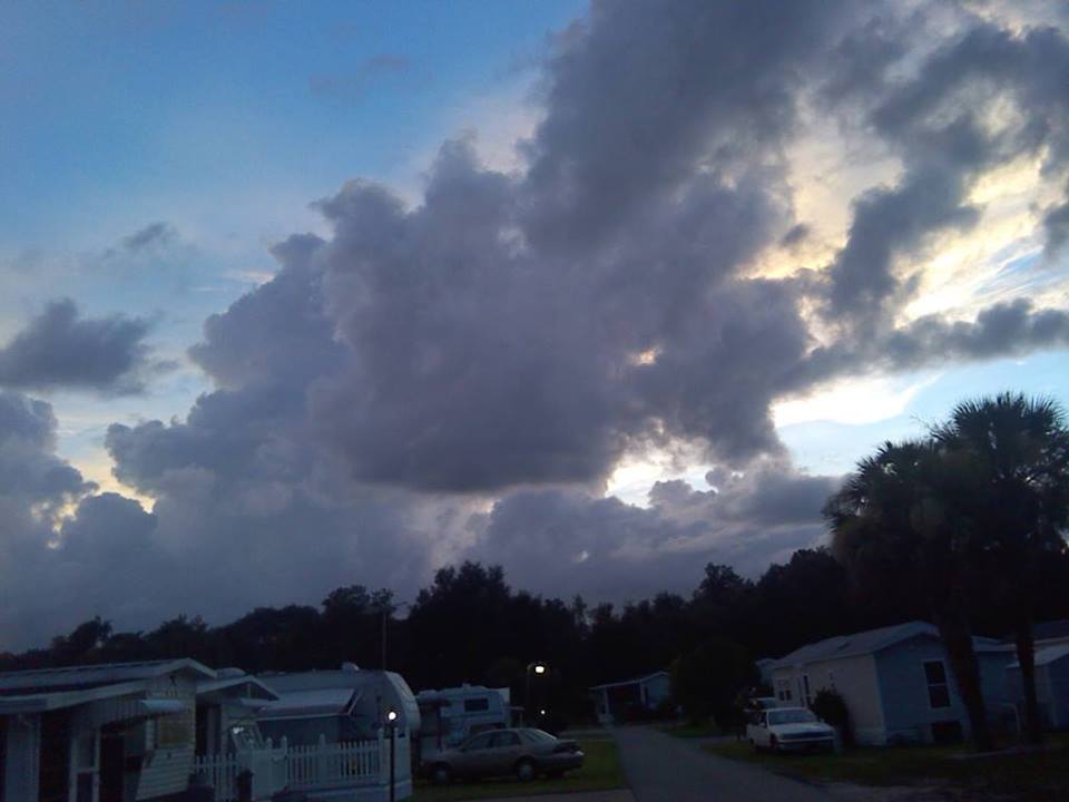 Taken and cropped on my phone. Taken and cropped on my phone.