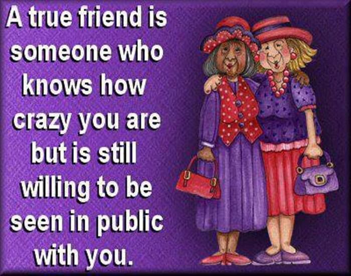 https://www.lovethispic.com/image/358221/a-true-friend-is-someone-who-knows-how-crazy-you-are