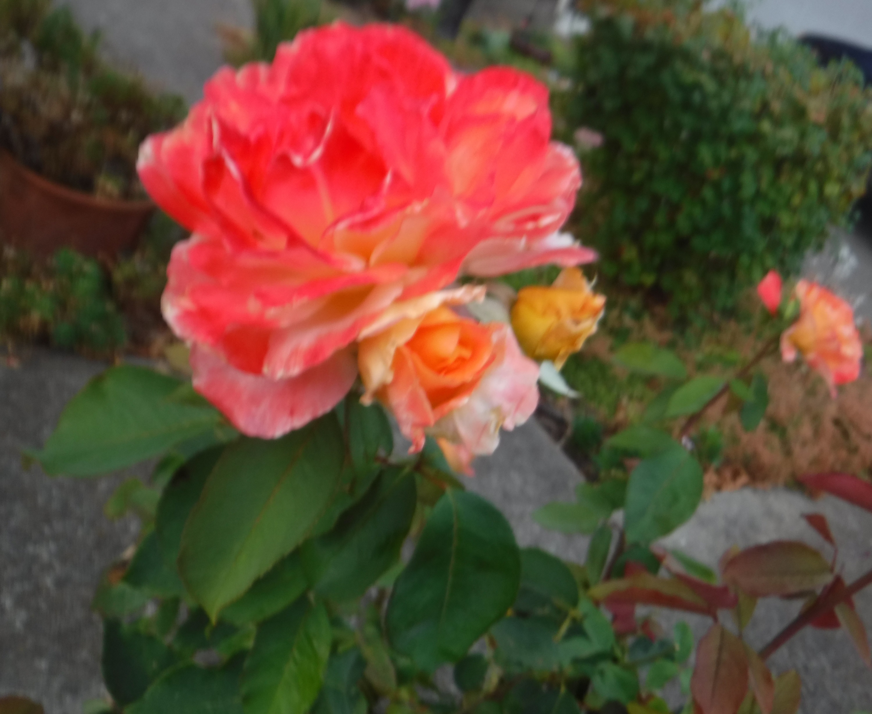 Photo taken by me