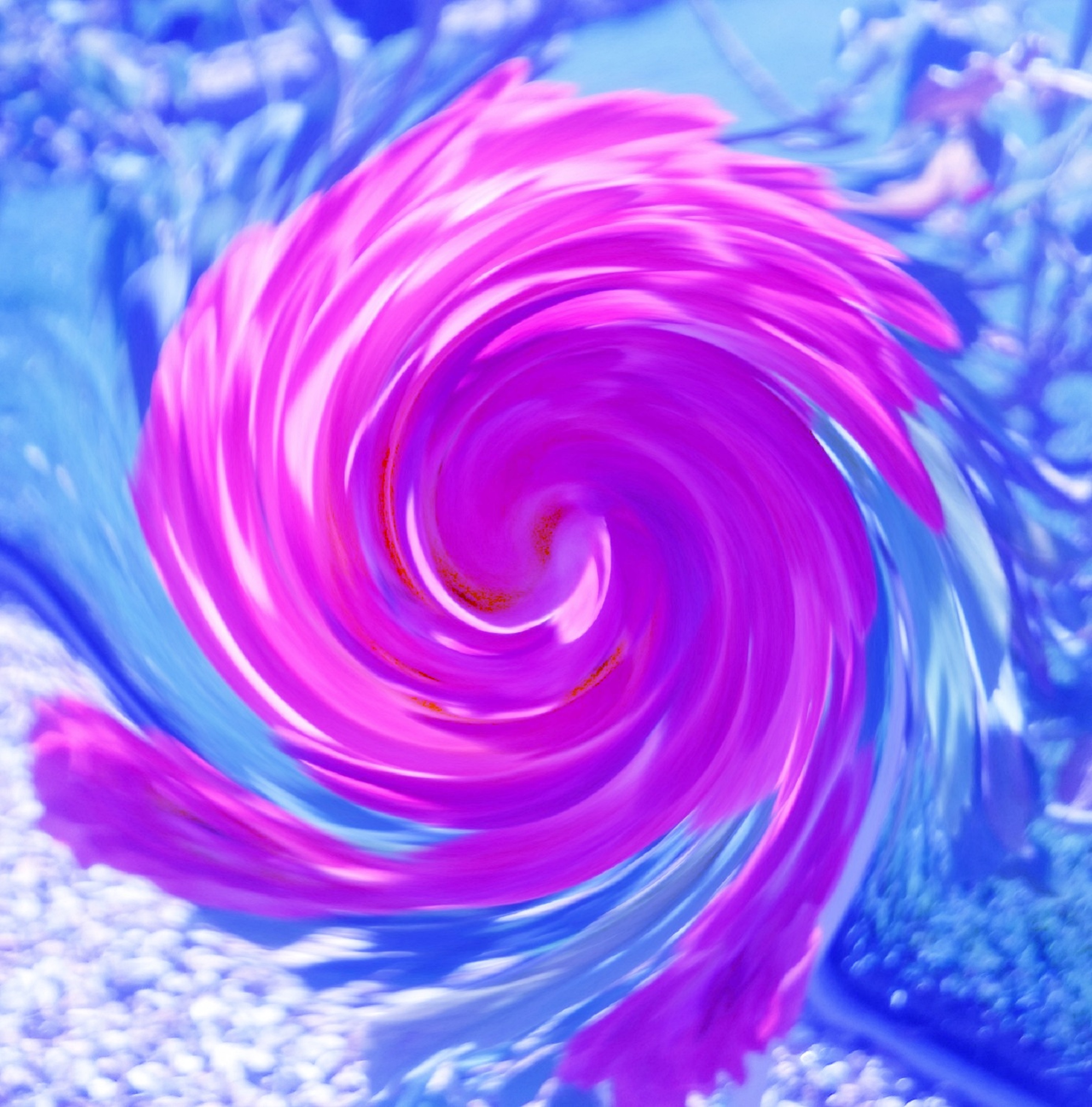 8-24 8-25 8 w swirl x 300 red 23 green 45 blue 99 Adjust Colors on LunaPic