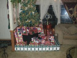 OUR TREE - TREE