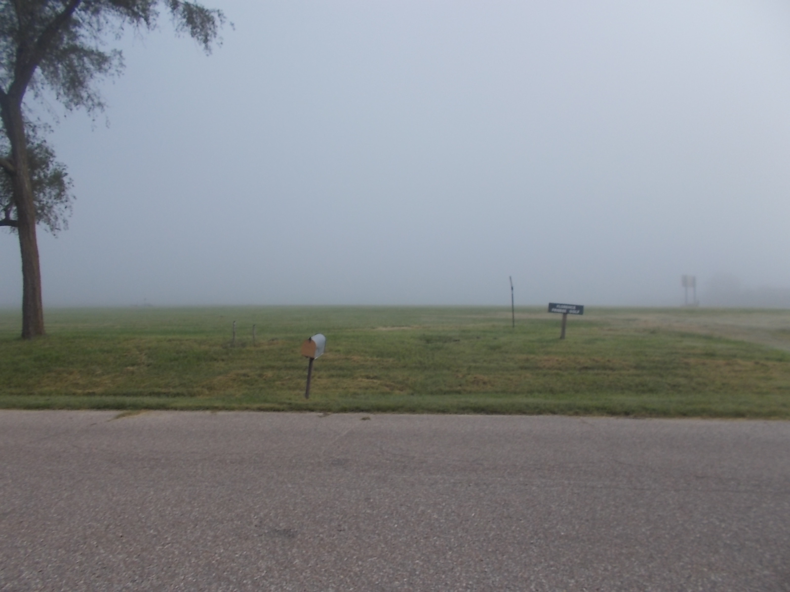 fog on the field