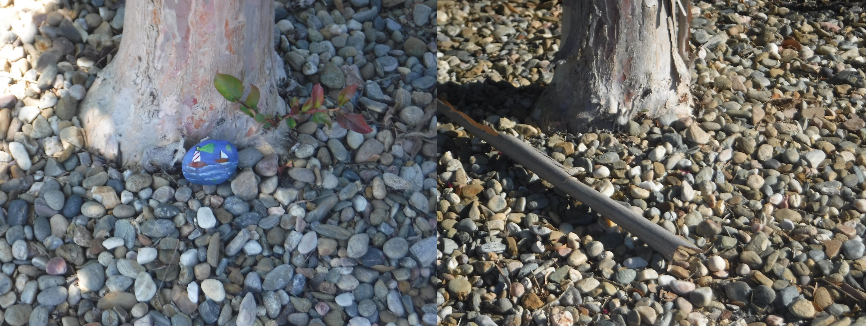 Photos I took of my painted rock that I placed/hid, and after it was gone
