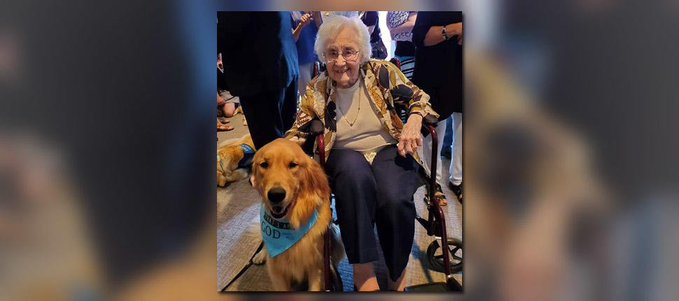 Comfort dogs to assist the people in Odessa Texas Comfort dogs to assist the people in Odessa Texas