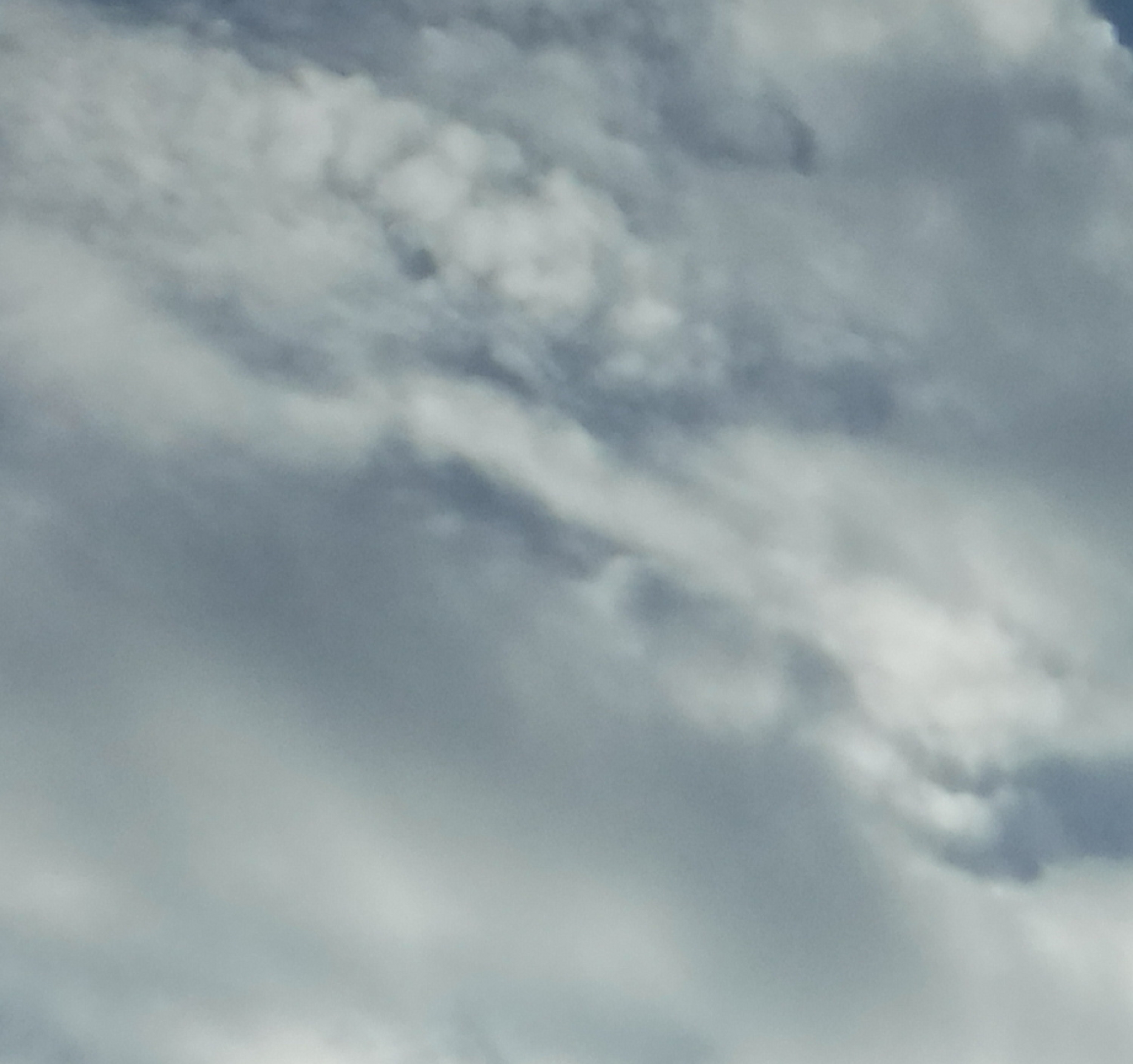 Photo taken and cropped by me