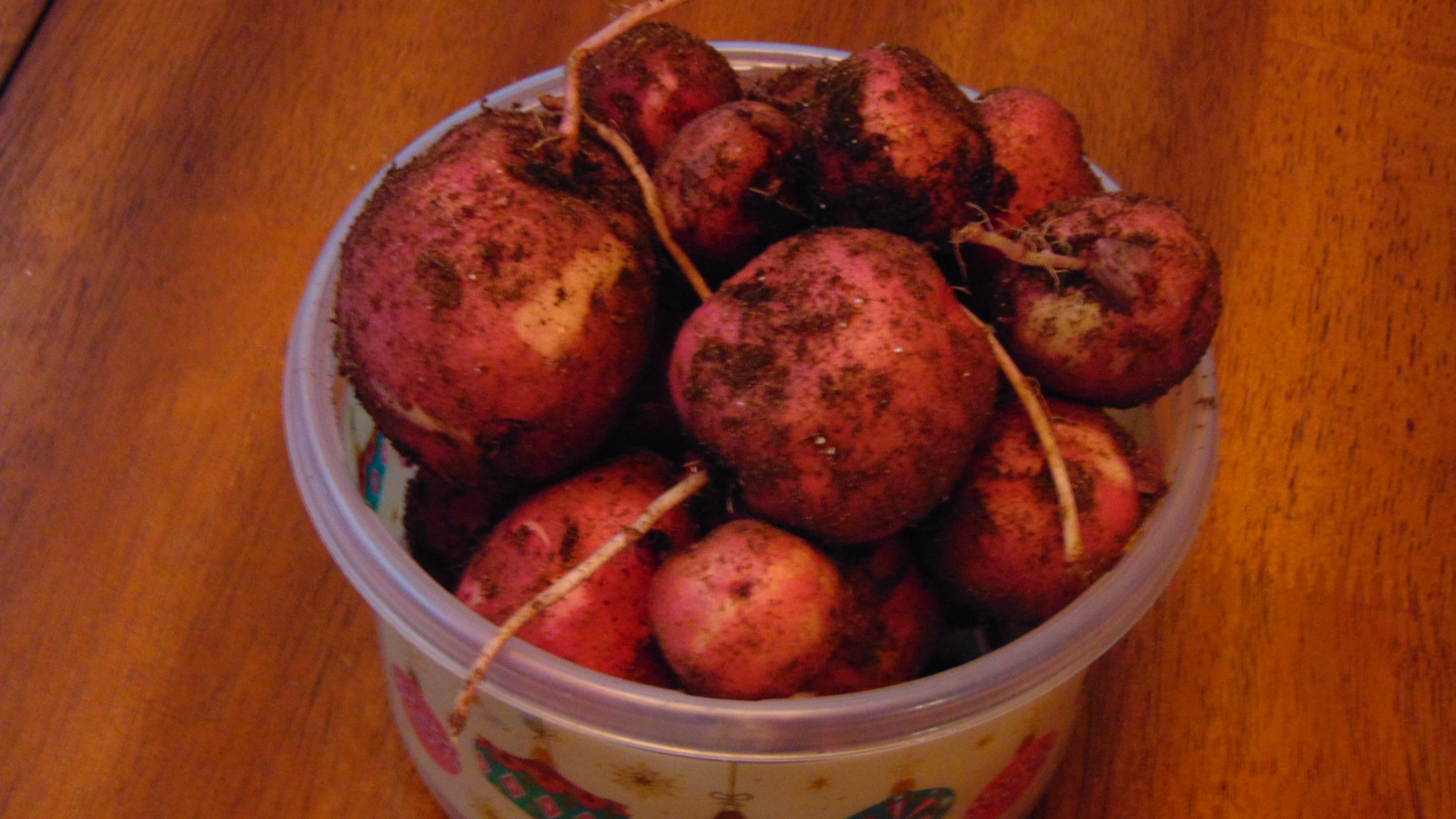 potatoes from our garden.