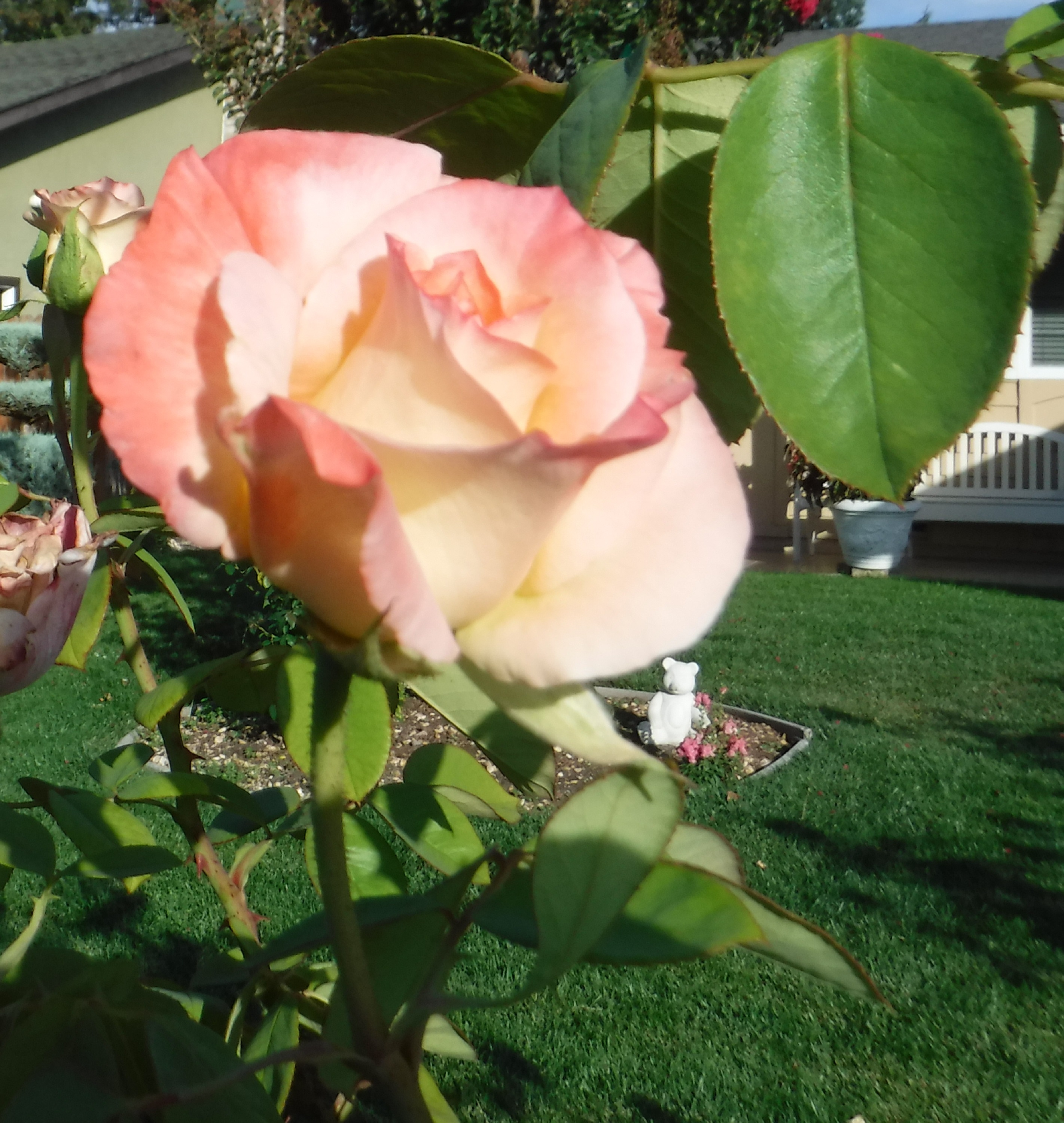Photo taken by me 9-4-19 Photo taken by me 9-4-19