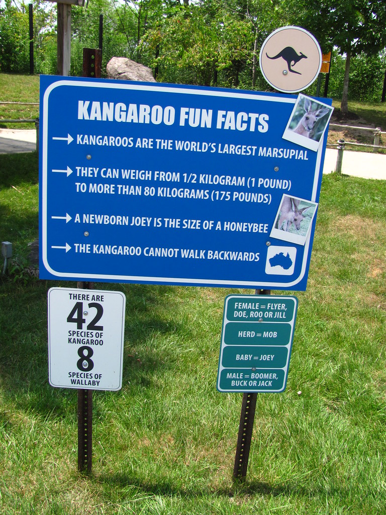 https://www.flickr.com/photos/rollercoasterphilosophy/7417326640 https://www.flickr.com/photos/rollercoasterphilosophy/7417326640