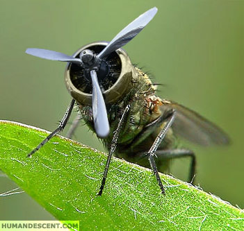 fly copter - fly copter