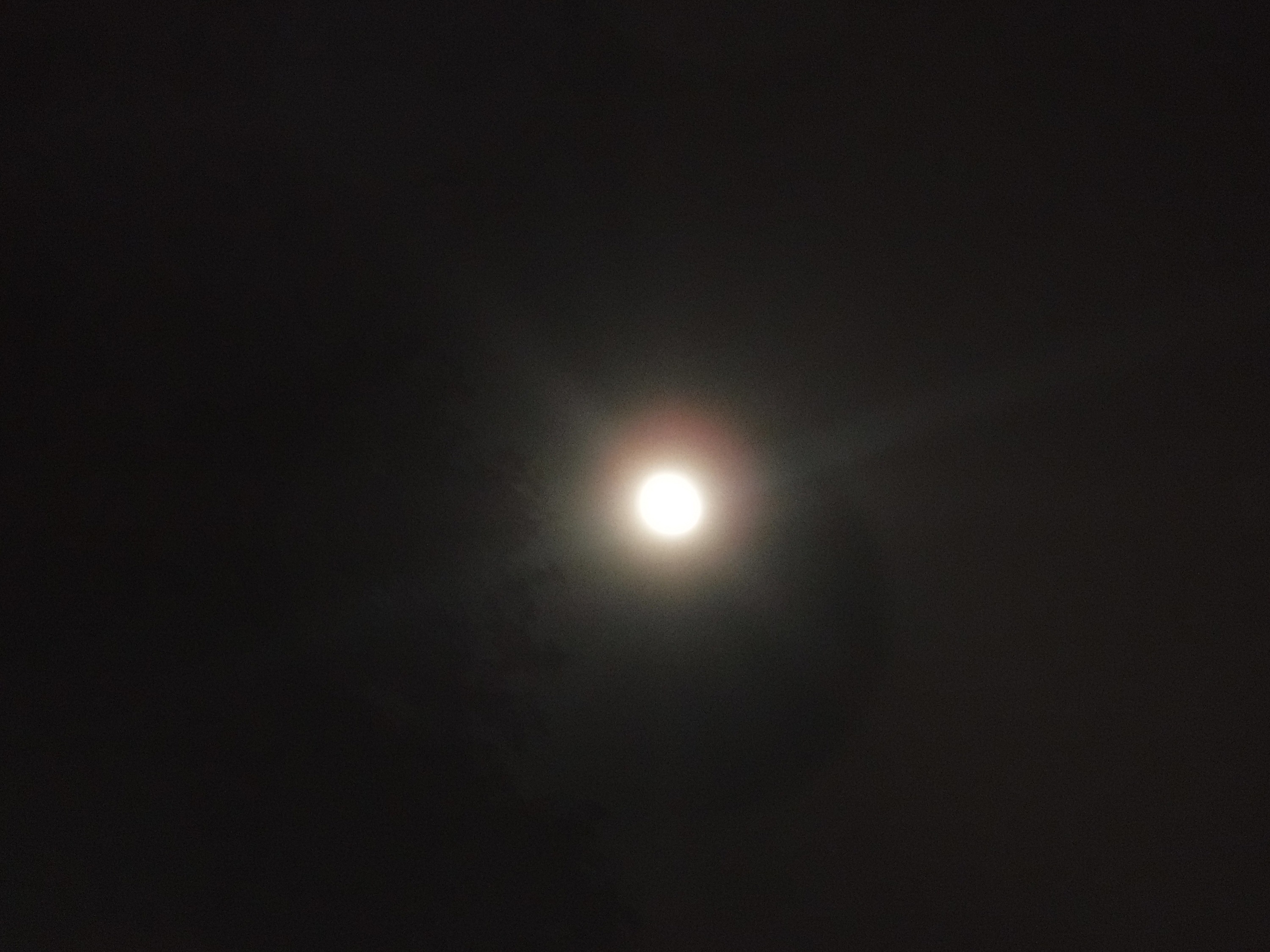 Photo taken by me 9:45 p.m. 9-14-19 Photo taken by me 9:45 p.m. 9-14-19