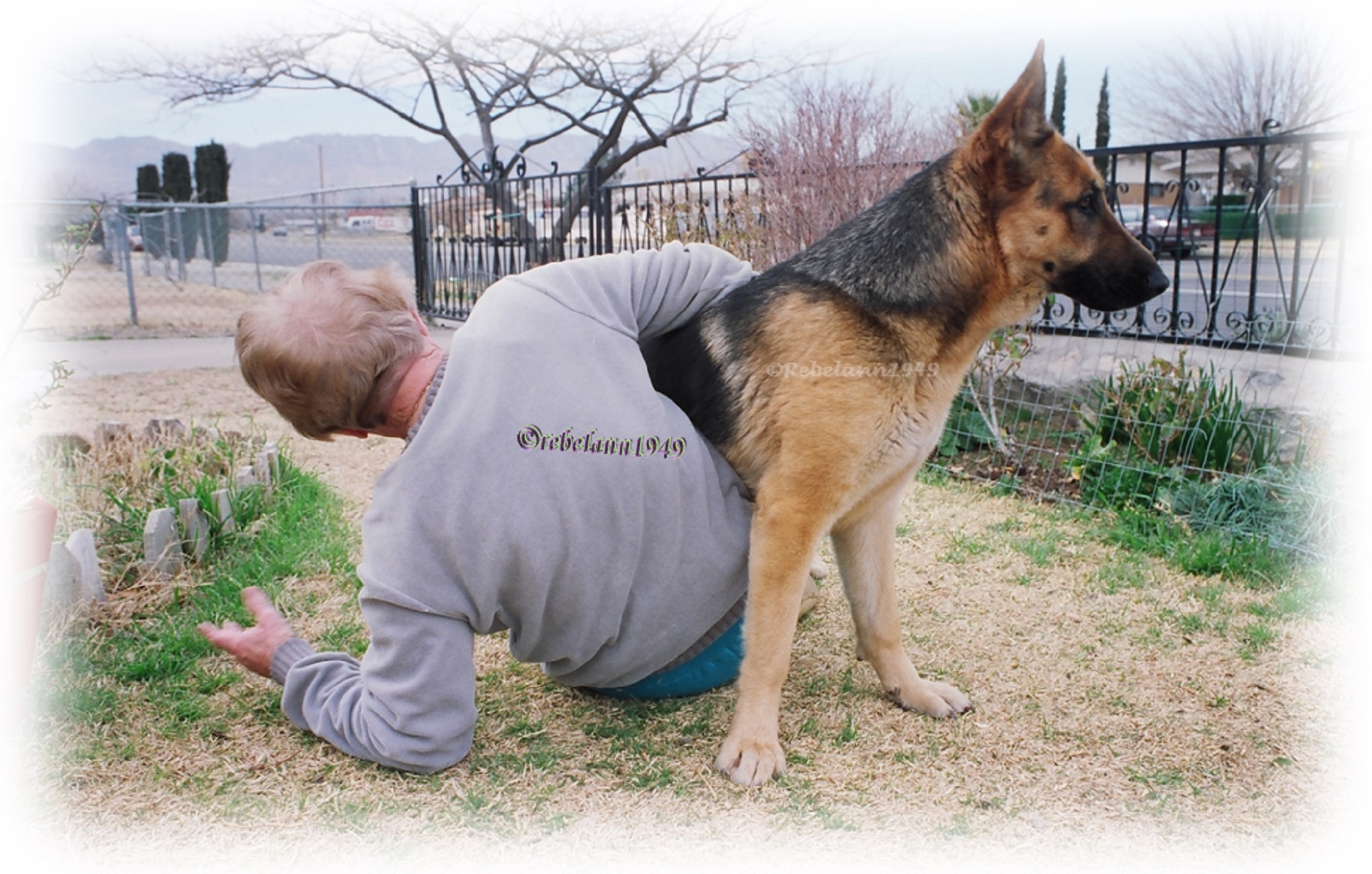 Mom with Shatzie back in the early 1990s. I took this shot with 35mm film. Mom with Shatzie back in the early 1990s. I took this shot with 35mm film.