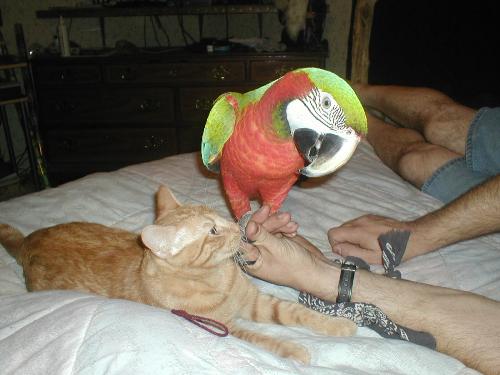 cami and george - best friends