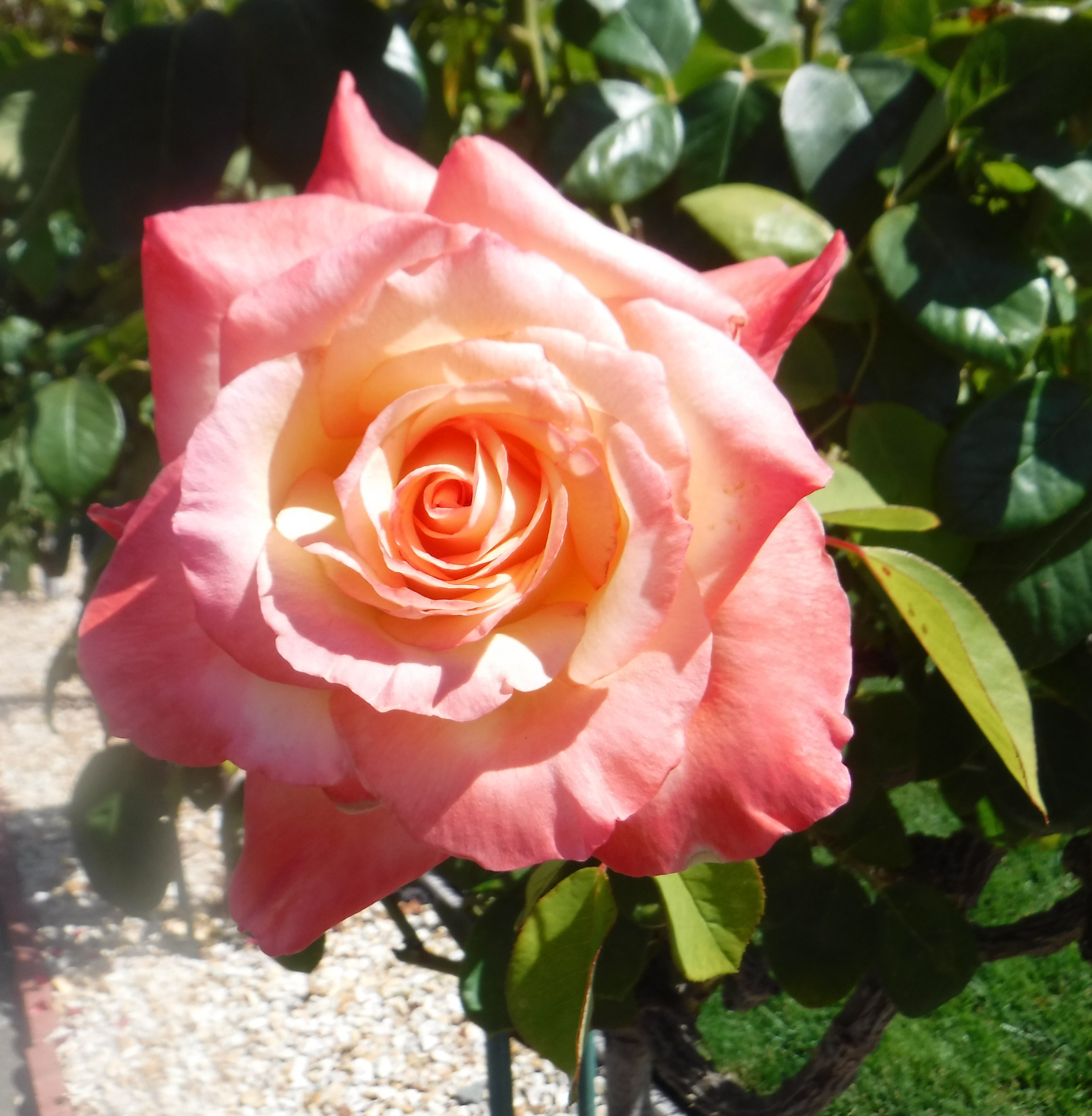 Photo taken by me
