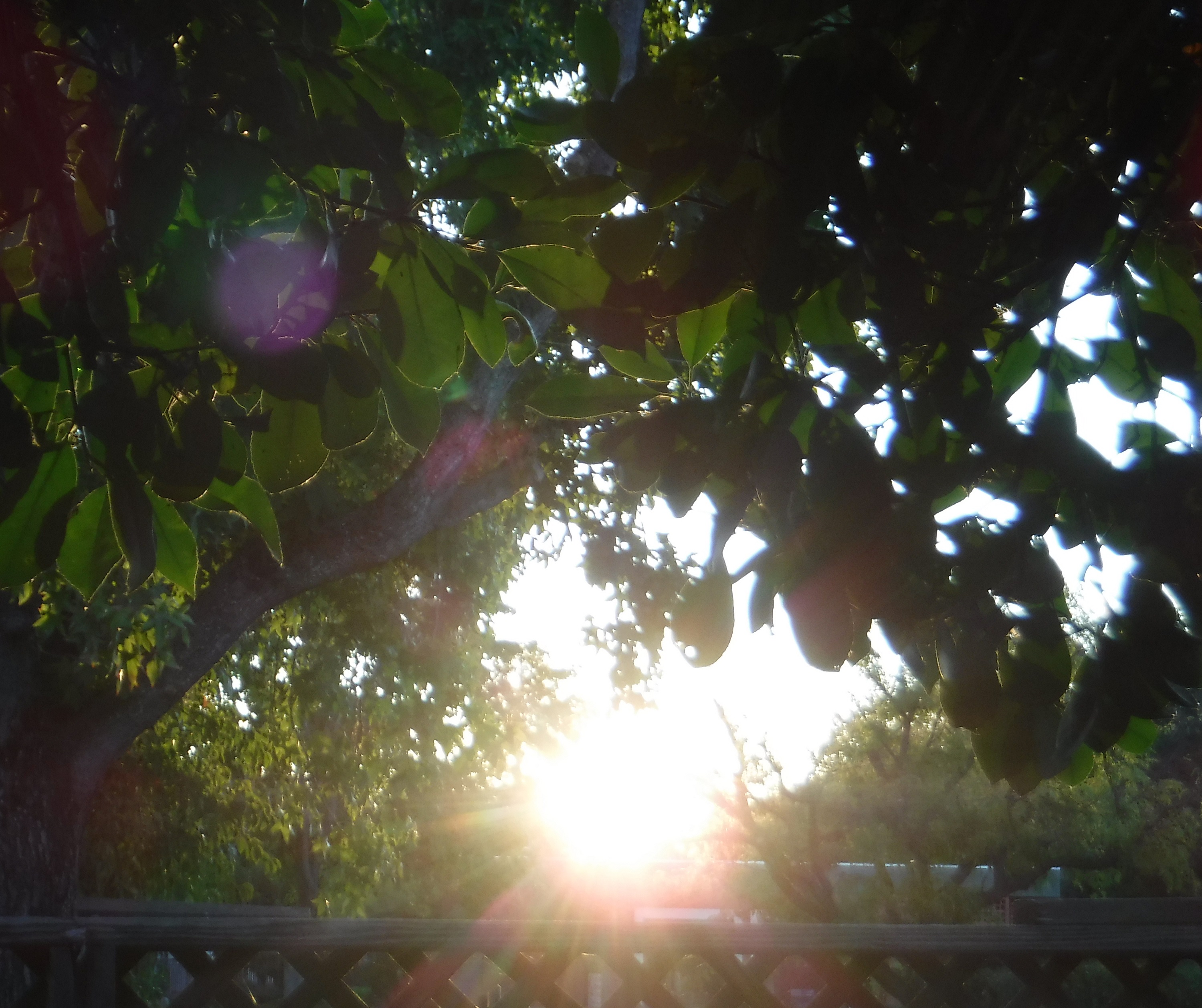 Photo taken by me 9-20-19