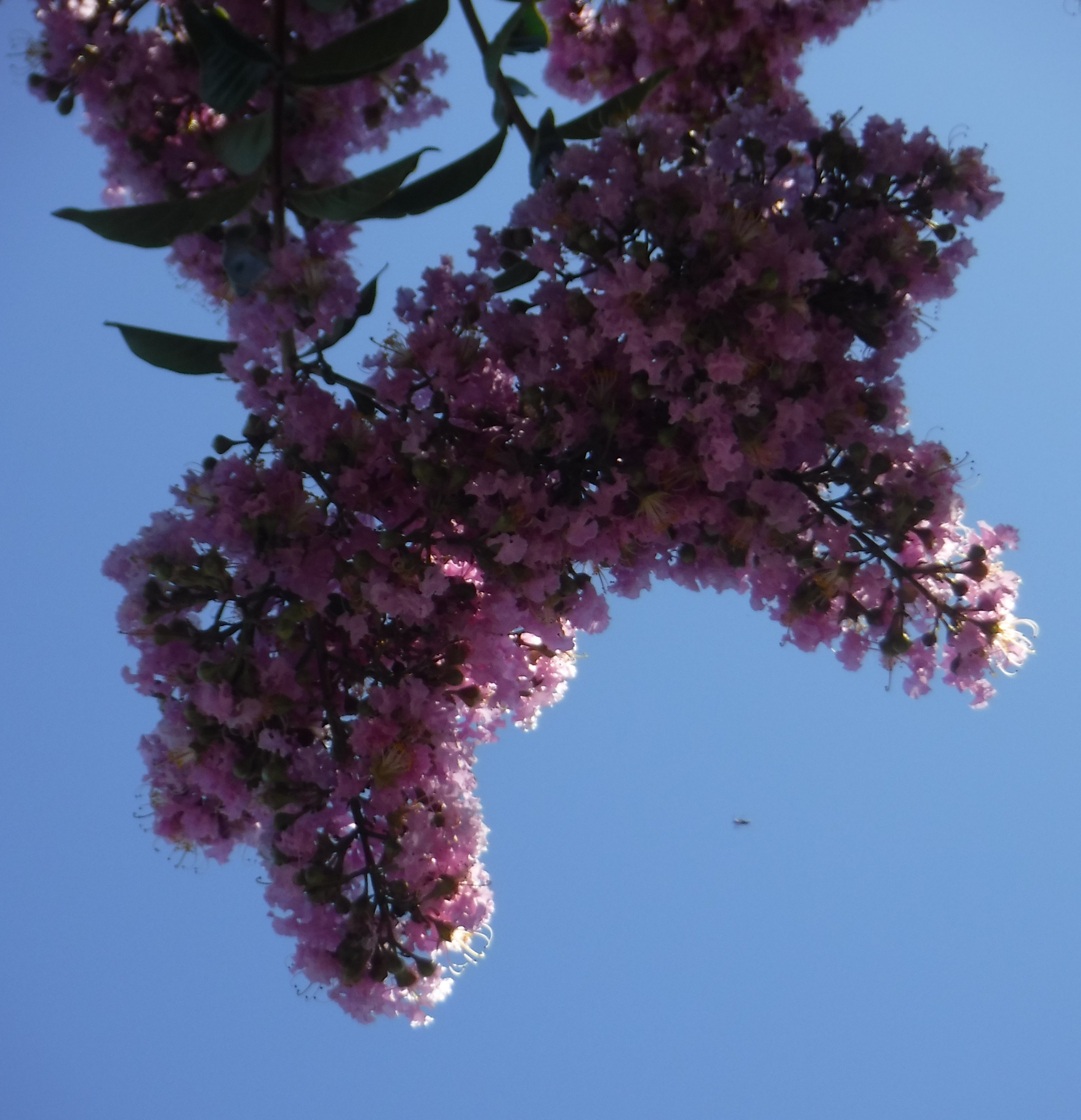 Photo taken by me