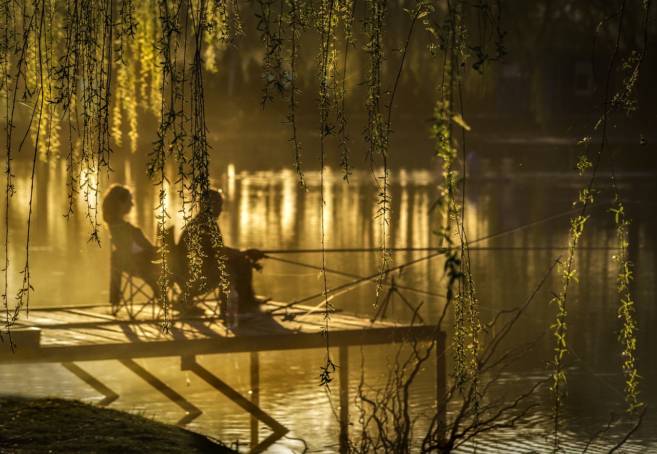 https://pixabay.com/photos/sunset-lake-anglers-nature-trees-3722398/ https://pixabay.com/photos/sunset-lake-anglers-nature-trees-3722398/