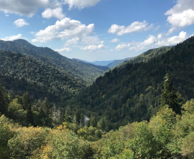 Newfound Gap in the Great Smoky Mountains National Park. Photo taken by and the property of FourWalls. Newfound Gap in the Great Smoky Mountains National Park. Photo taken by and the property of FourWalls.