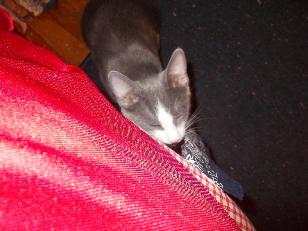 Tink