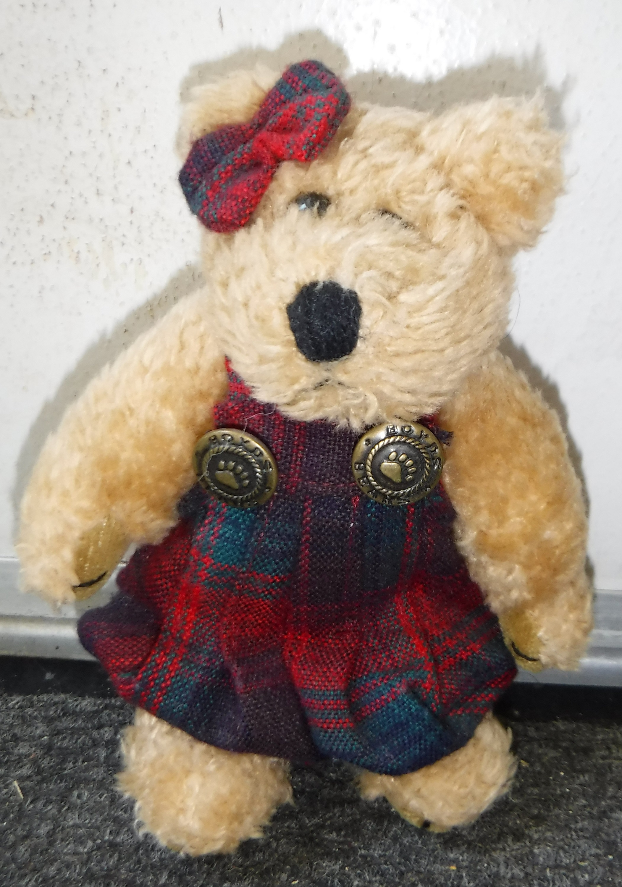 Photo I took of the bear I'm selling on ebay Photo I took of the bear I'm selling on ebay