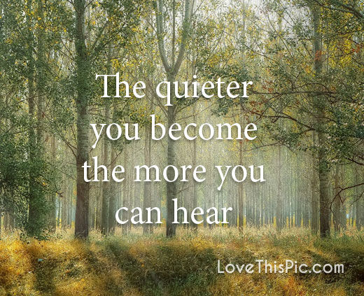 http://www.lovethispic.com/image/323524/the-quieter-you-become http://www.lovethispic.com/image/323524/the-quieter-you-become