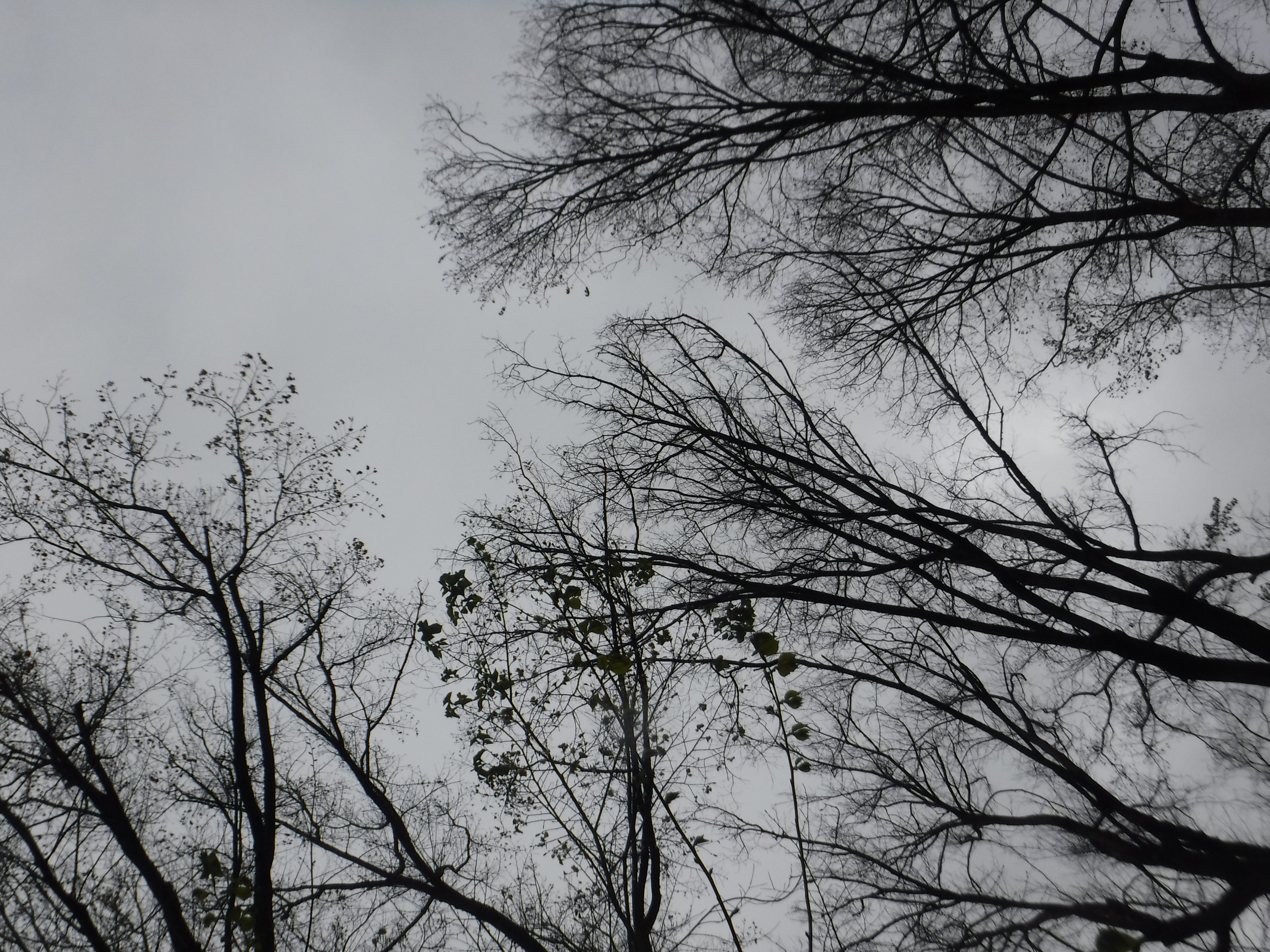 Photo taken by me Photo taken by me