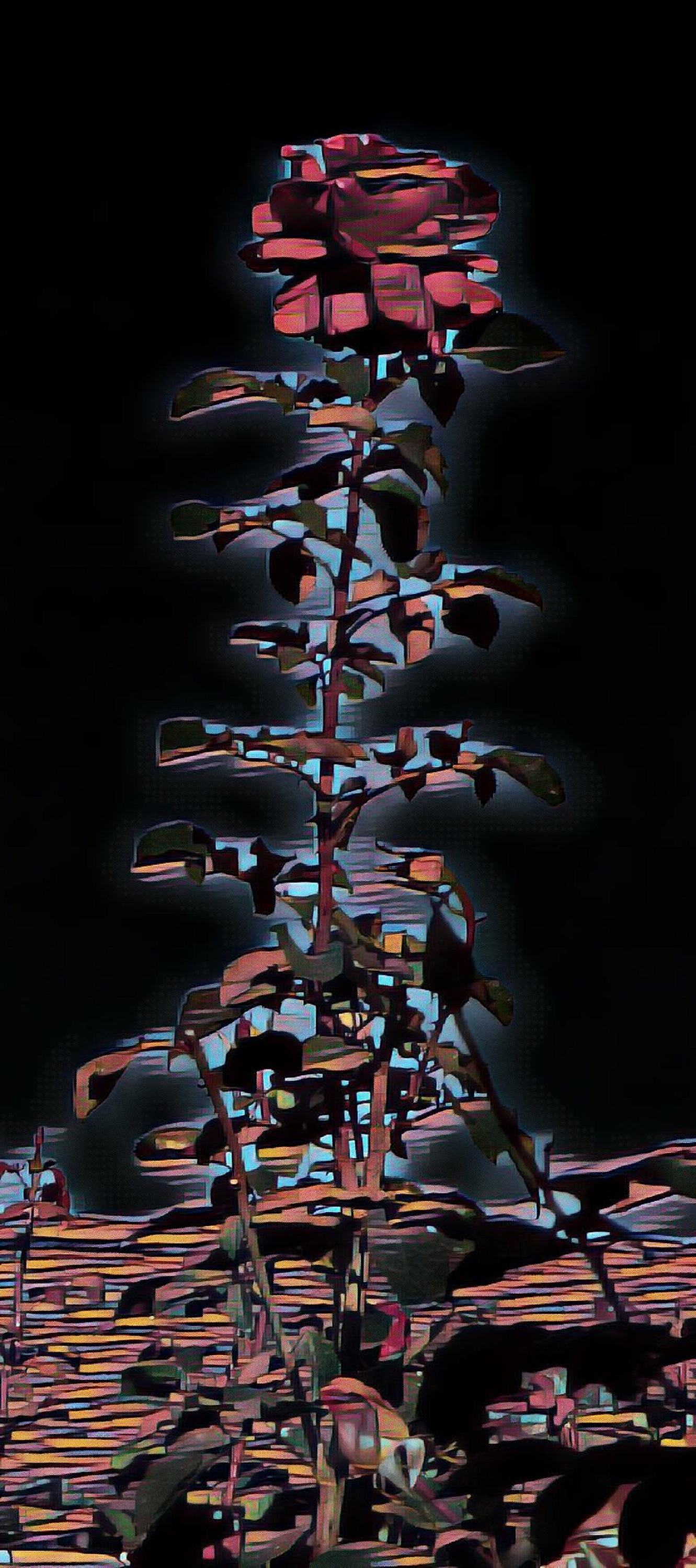 Photo taken by me with "Night" effect on LunaPic.com