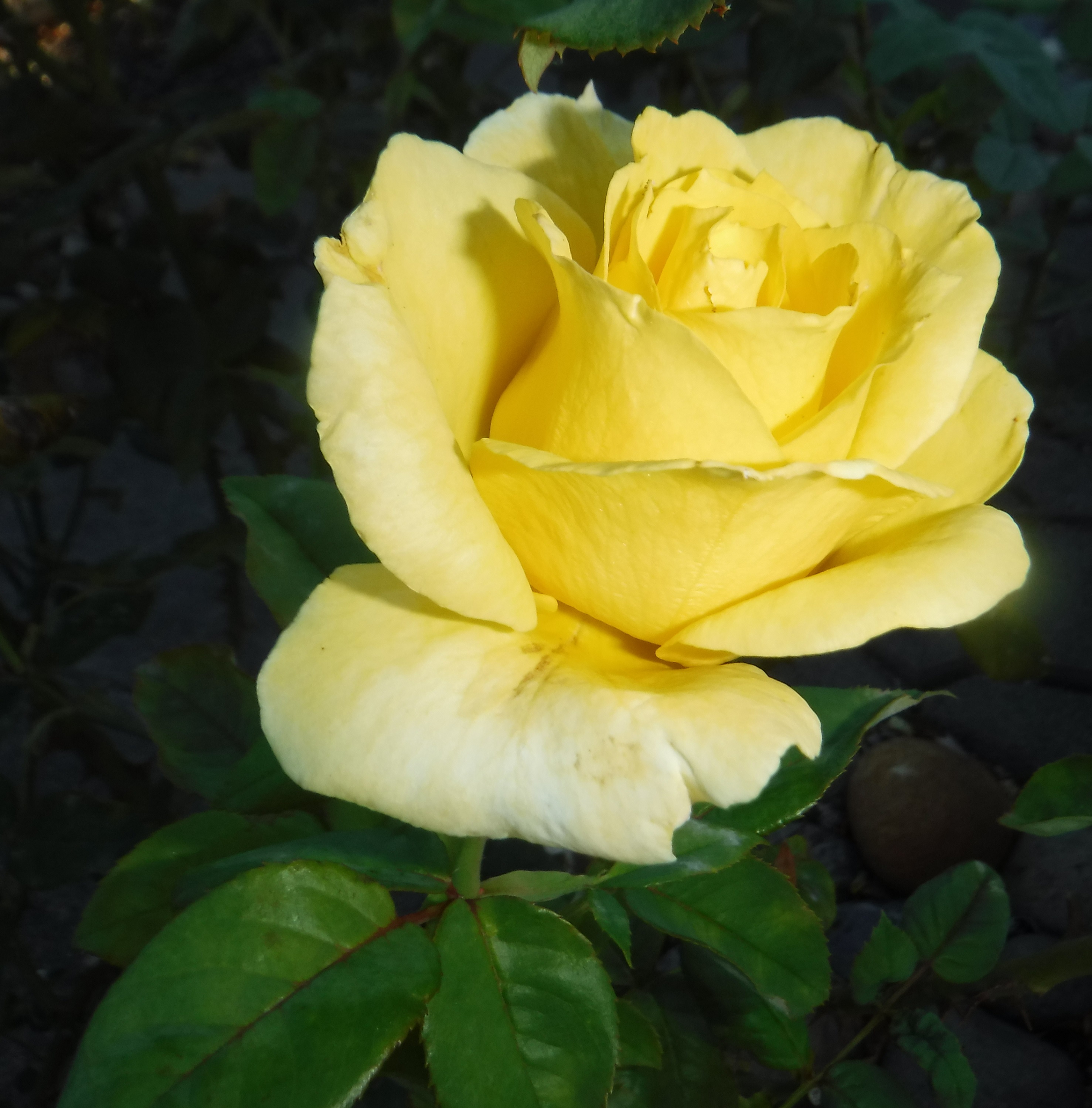 Photo taken by me Photo taken by me
