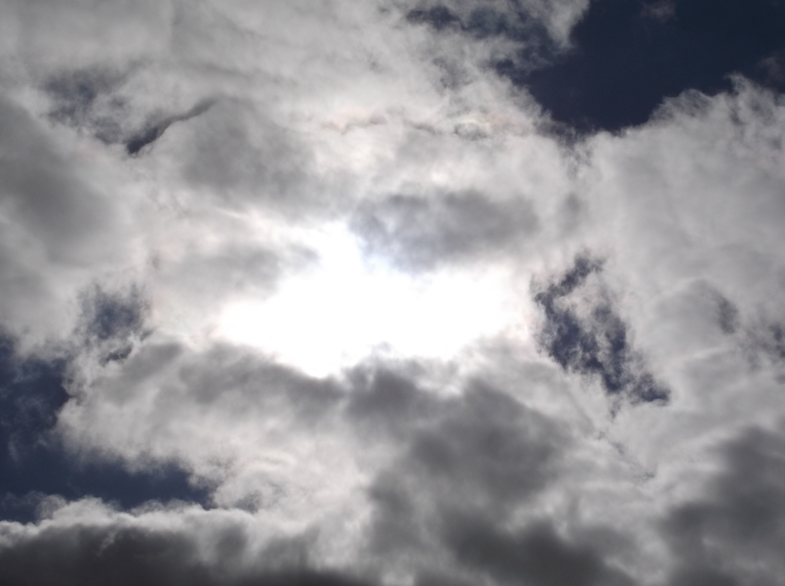 Photo taken by me 1-10-15 Photo taken by me 1-10-15