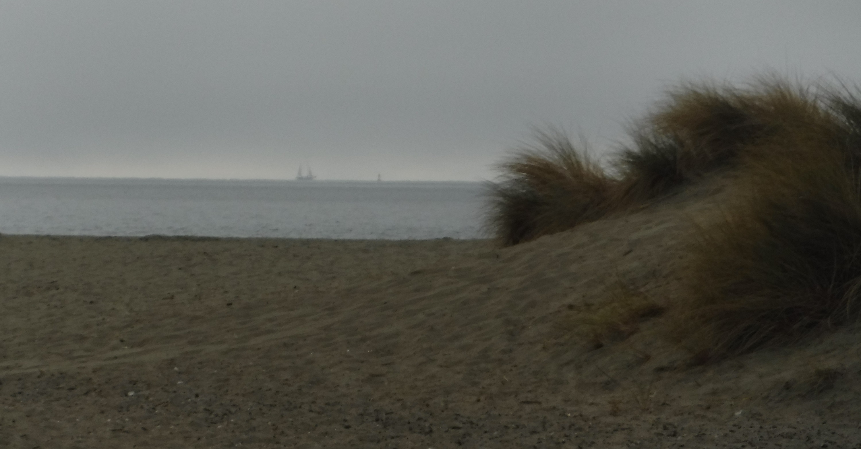 Another photo I took at the beach Another photo I took at the beach