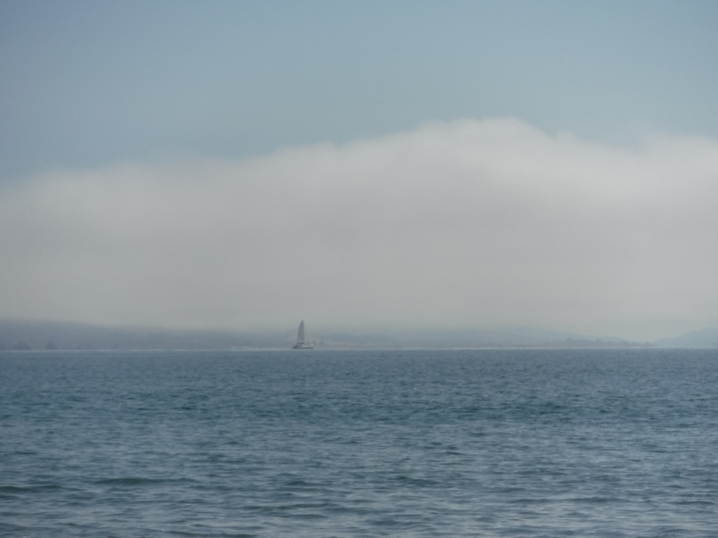 Another photo from beach trip 10-13-19 Another photo from beach trip 10-13-19