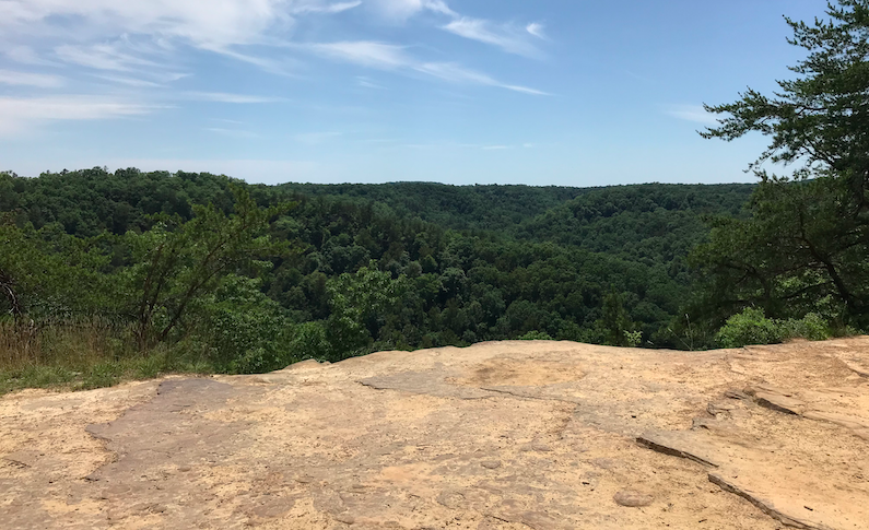 Looking out over the Daniel Boone National Forest from the top of Natural Bridge State Park in Slade, KY.  Photo taken by and the property of FourWalls.