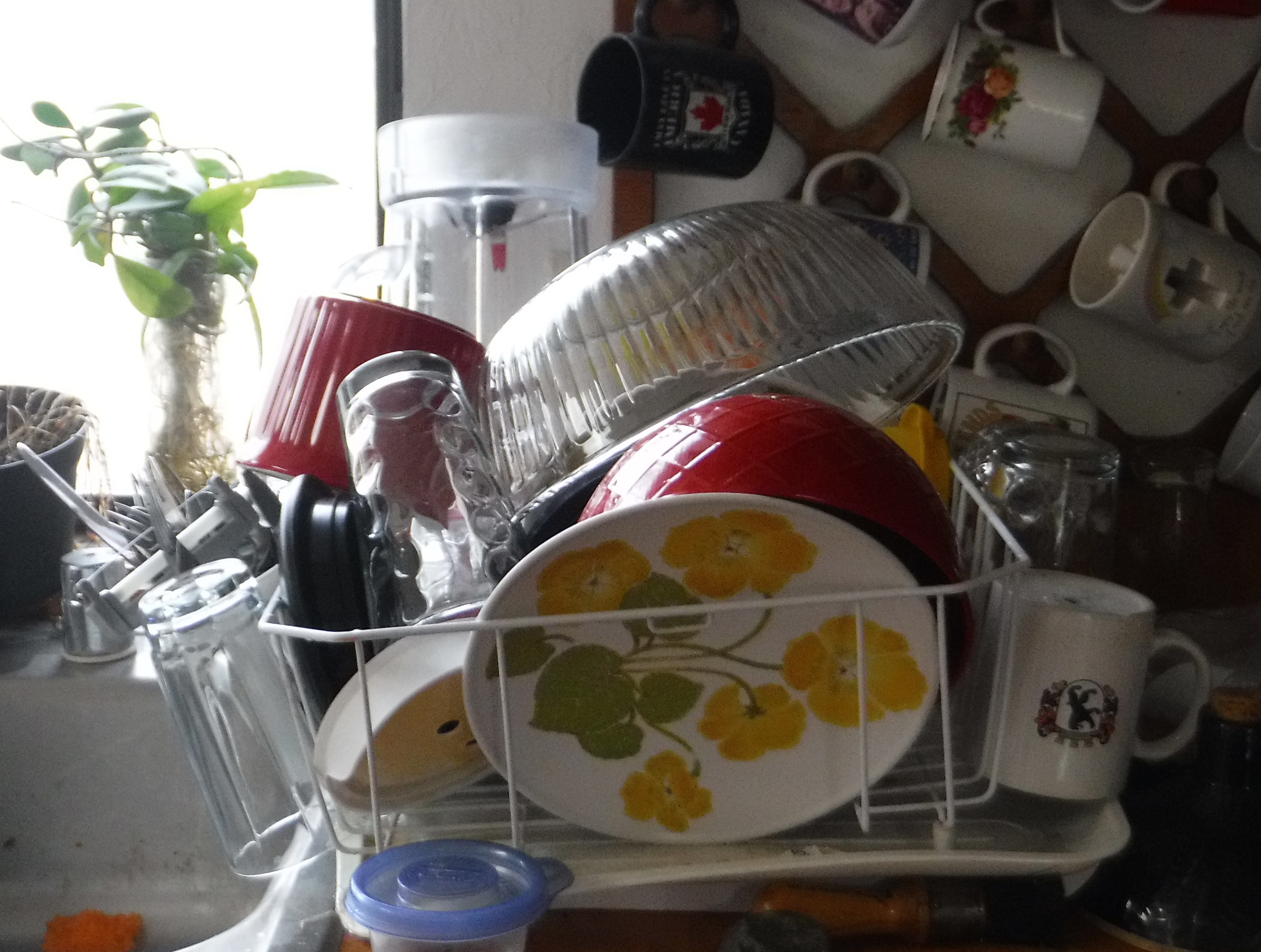 Photo I took of the dishes in the dish rack Photo I took of the dishes in the dish rack