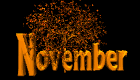 november - november