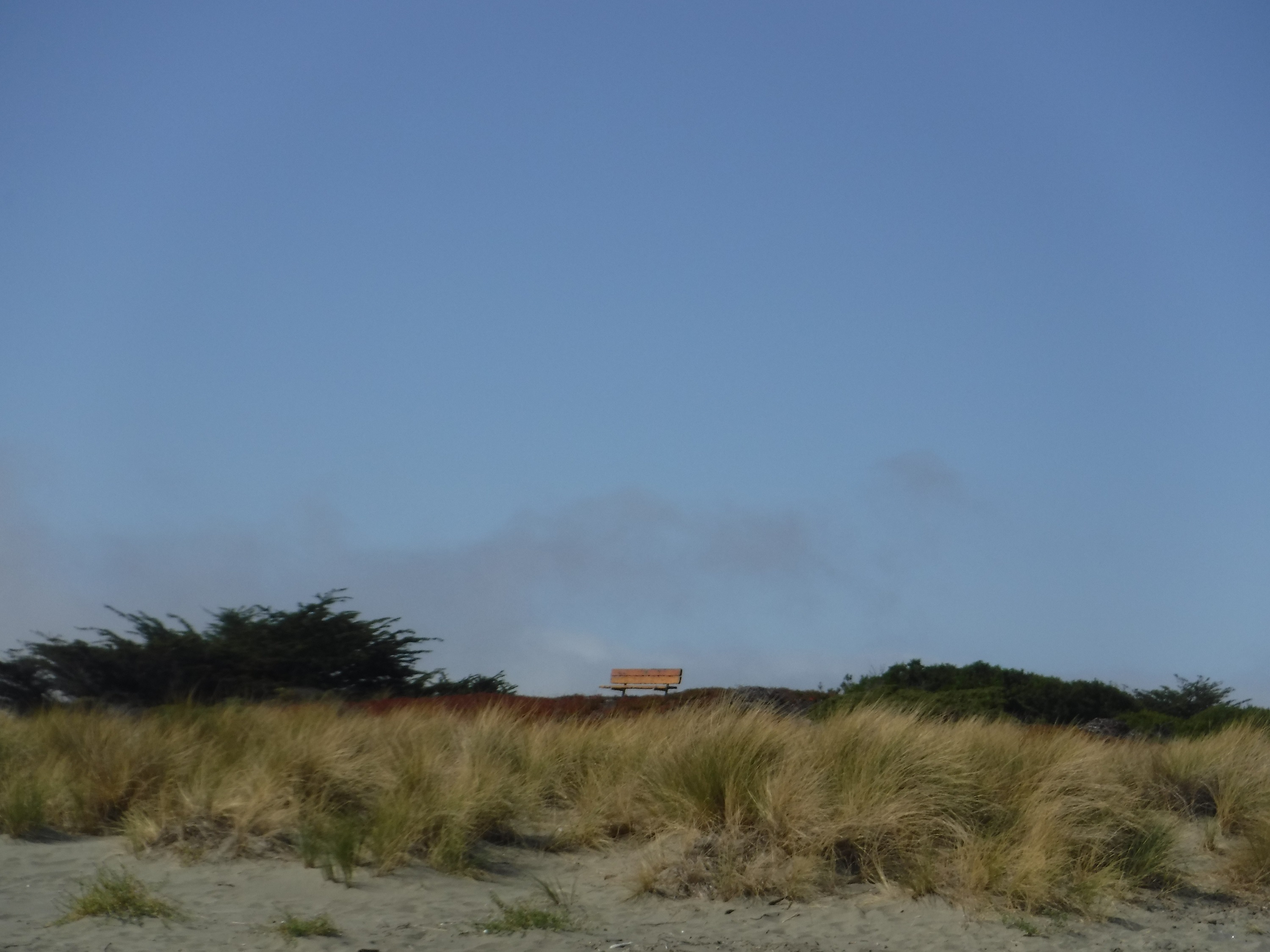 Photo taken by me at the beach 10-13-19 Photo taken by me at the beach 10-13-19