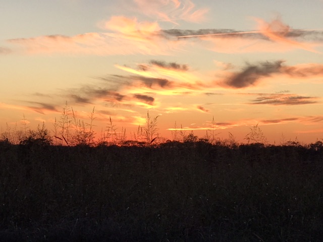 Sunset near Nicholasville, KY this evening (10/23/19). Photo taken by and the property of FourWalls. Sunset near Nicholasville, KY this evening (10/23/19). Photo taken by and the property of FourWalls.
