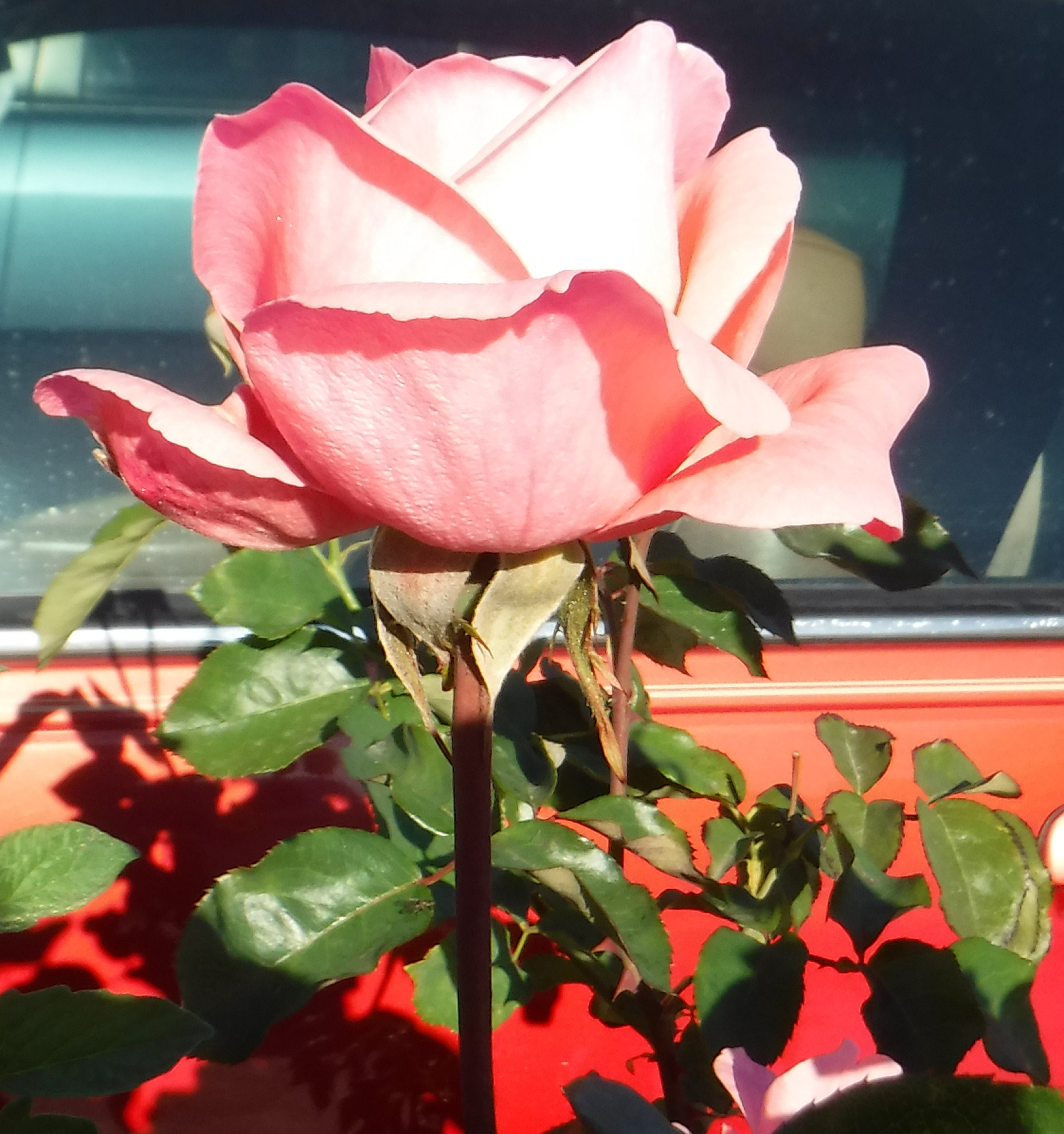 Photo taken by me 10-22-19 Photo taken by me 10-22-19