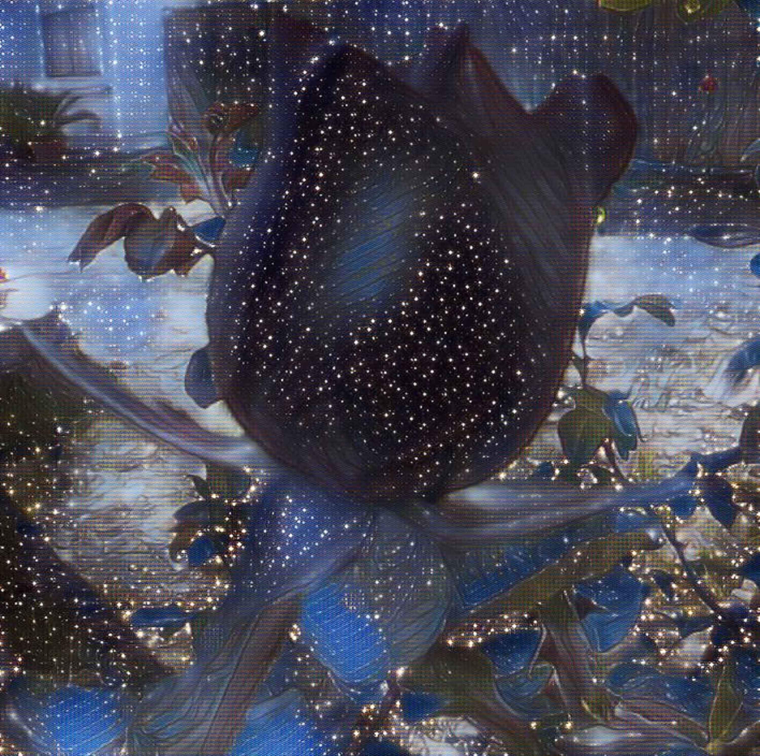 Photo taken by me, cropped, with beauty and space effects on LunaPic.com Photo taken by me, cropped, with beauty and space effects on LunaPic.com