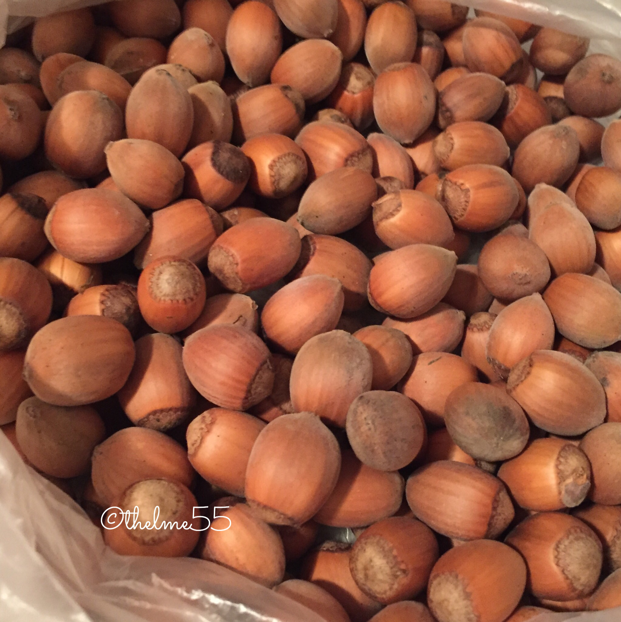 Hazelnuts