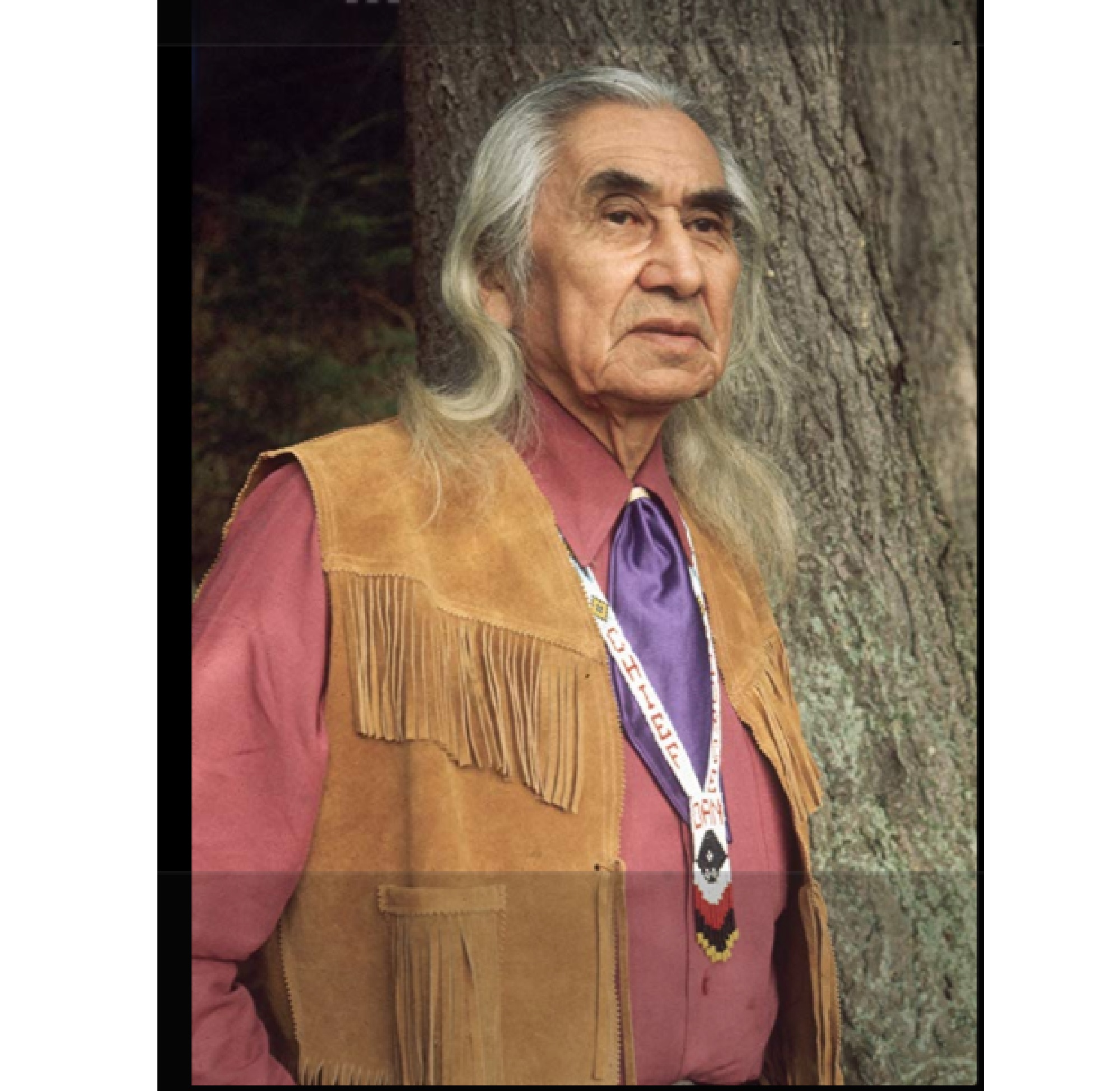 screen shot of Chief Dan George