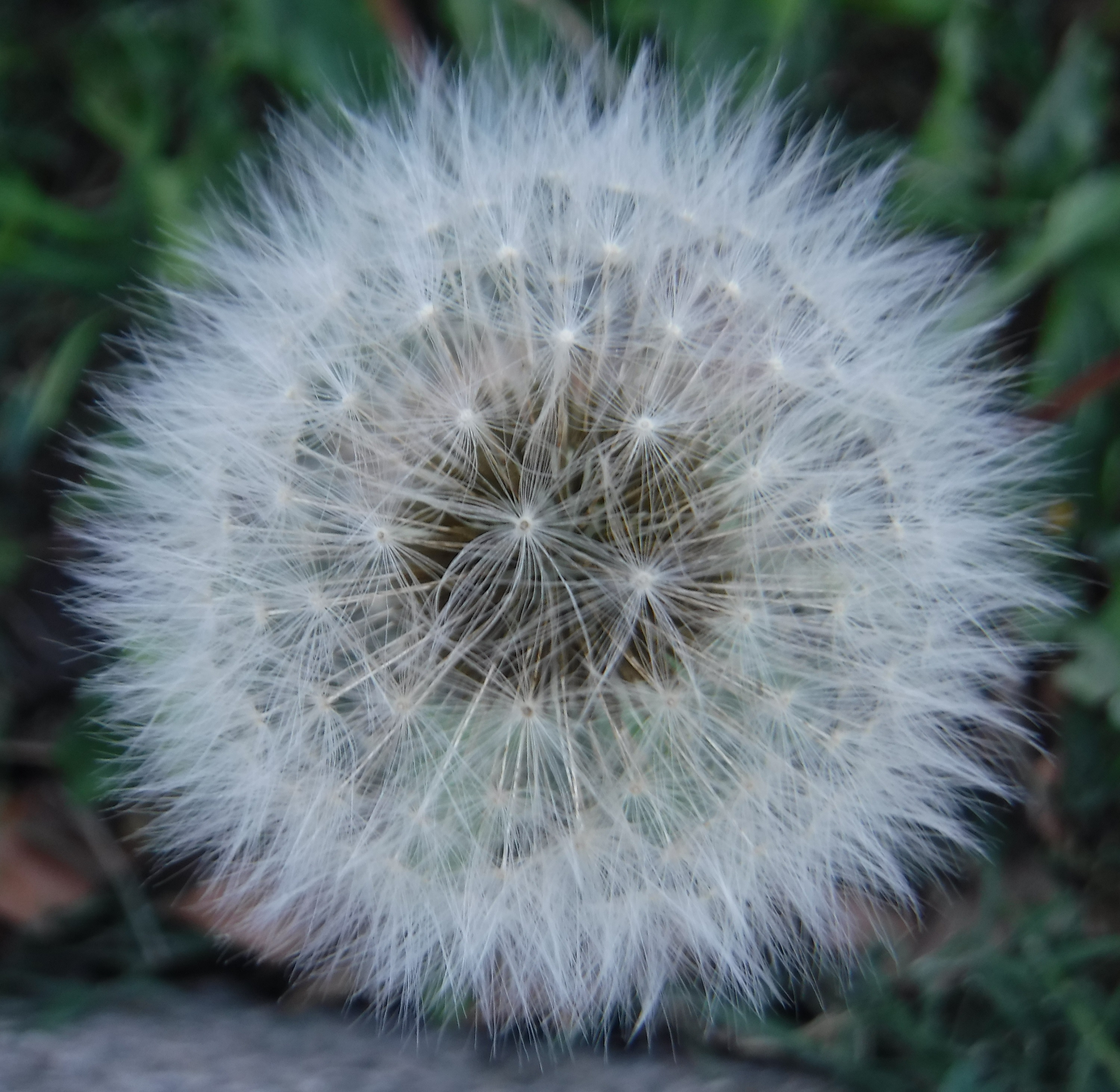 Photo taken by me 11-5-19 Photo taken by me 11-5-19