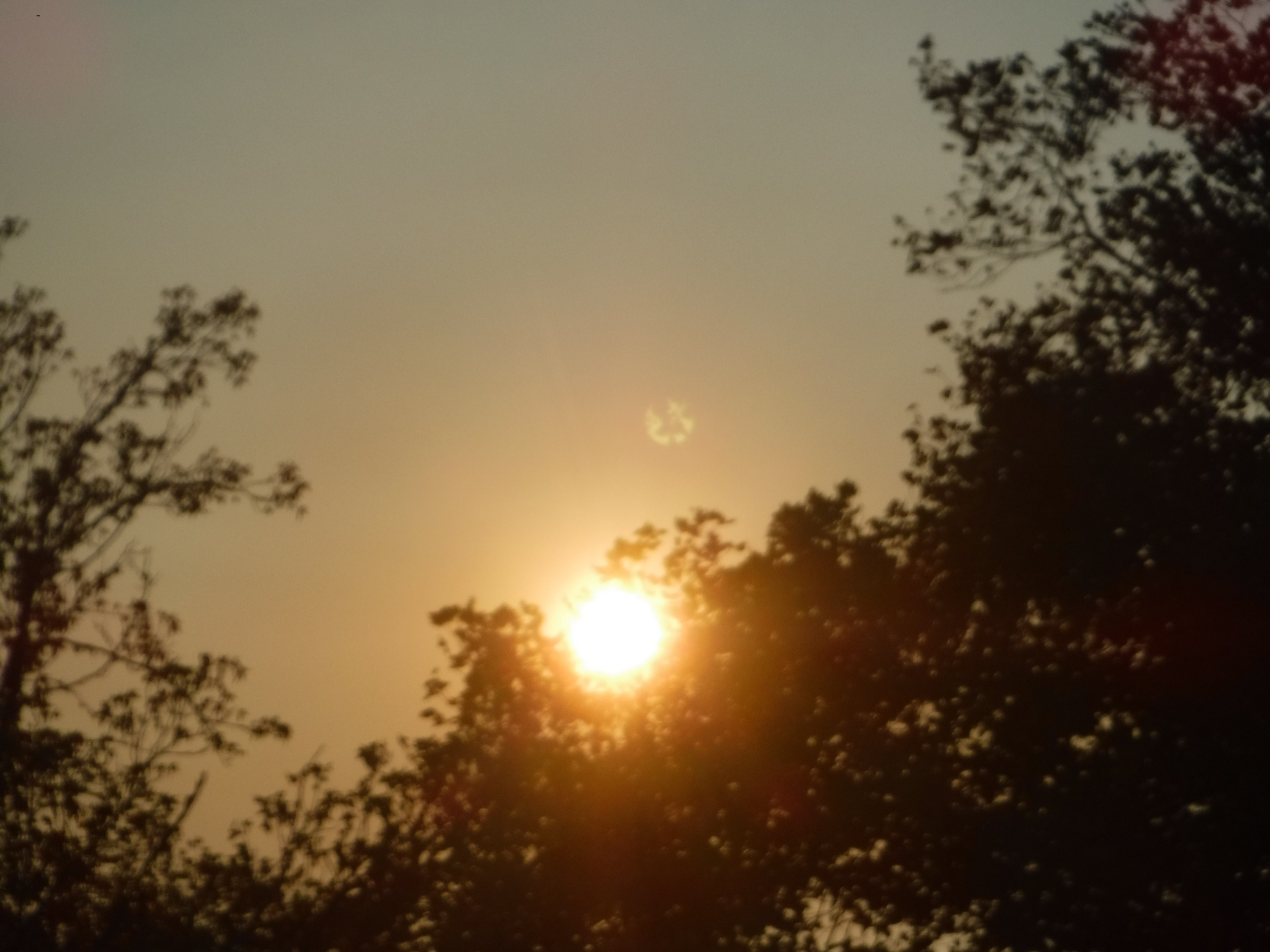 Photo taken by me Photo taken by me