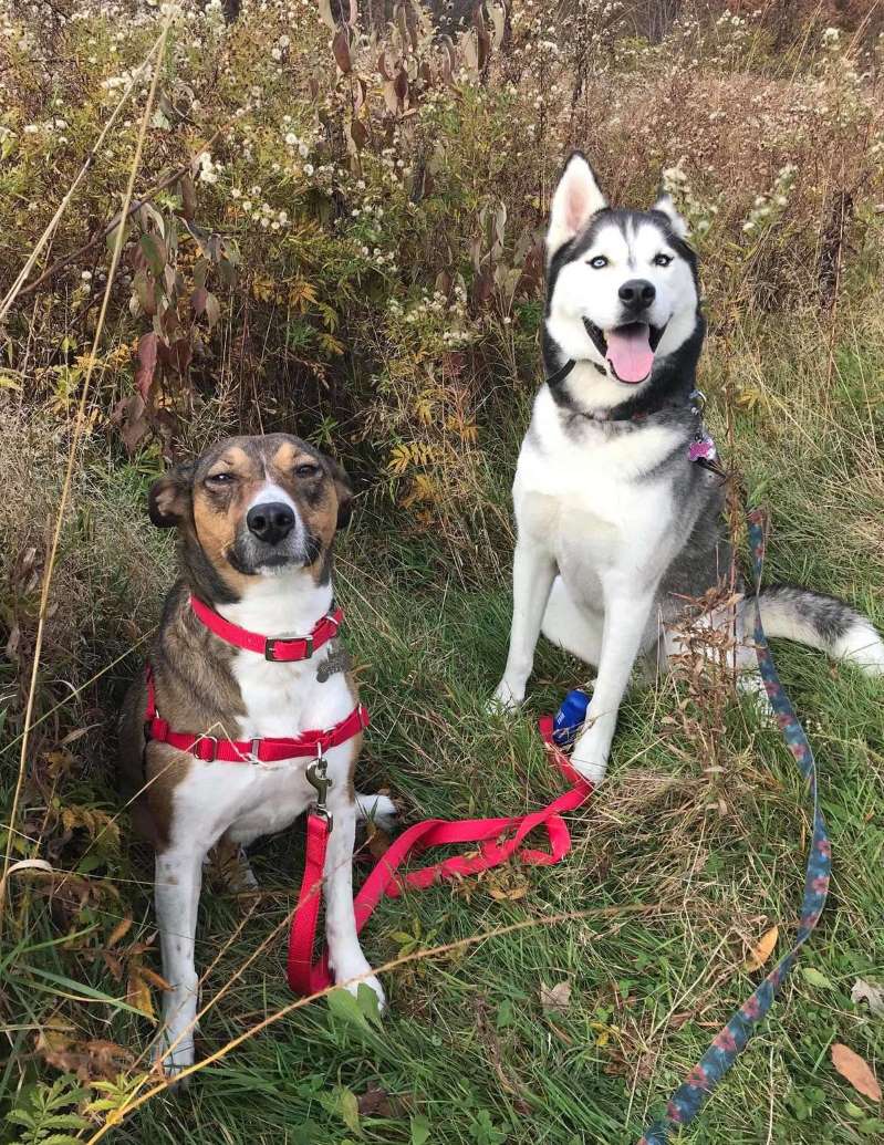 Lucy and her companion Kuma Lucy and her companion Kuma